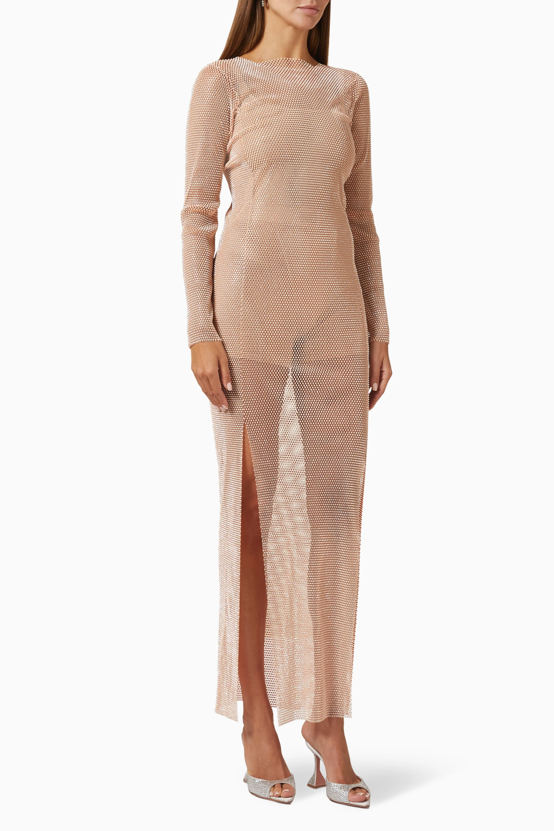 Organza mesh maxi sales dress