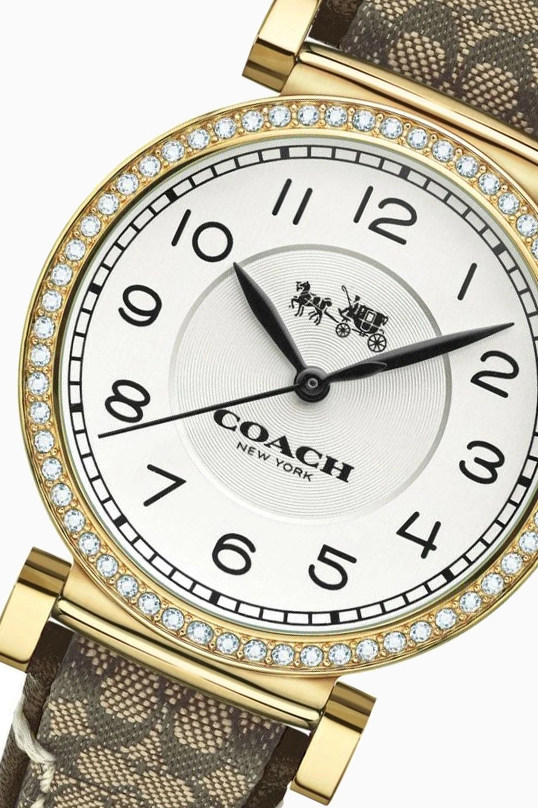 Coach hotsell madison watch