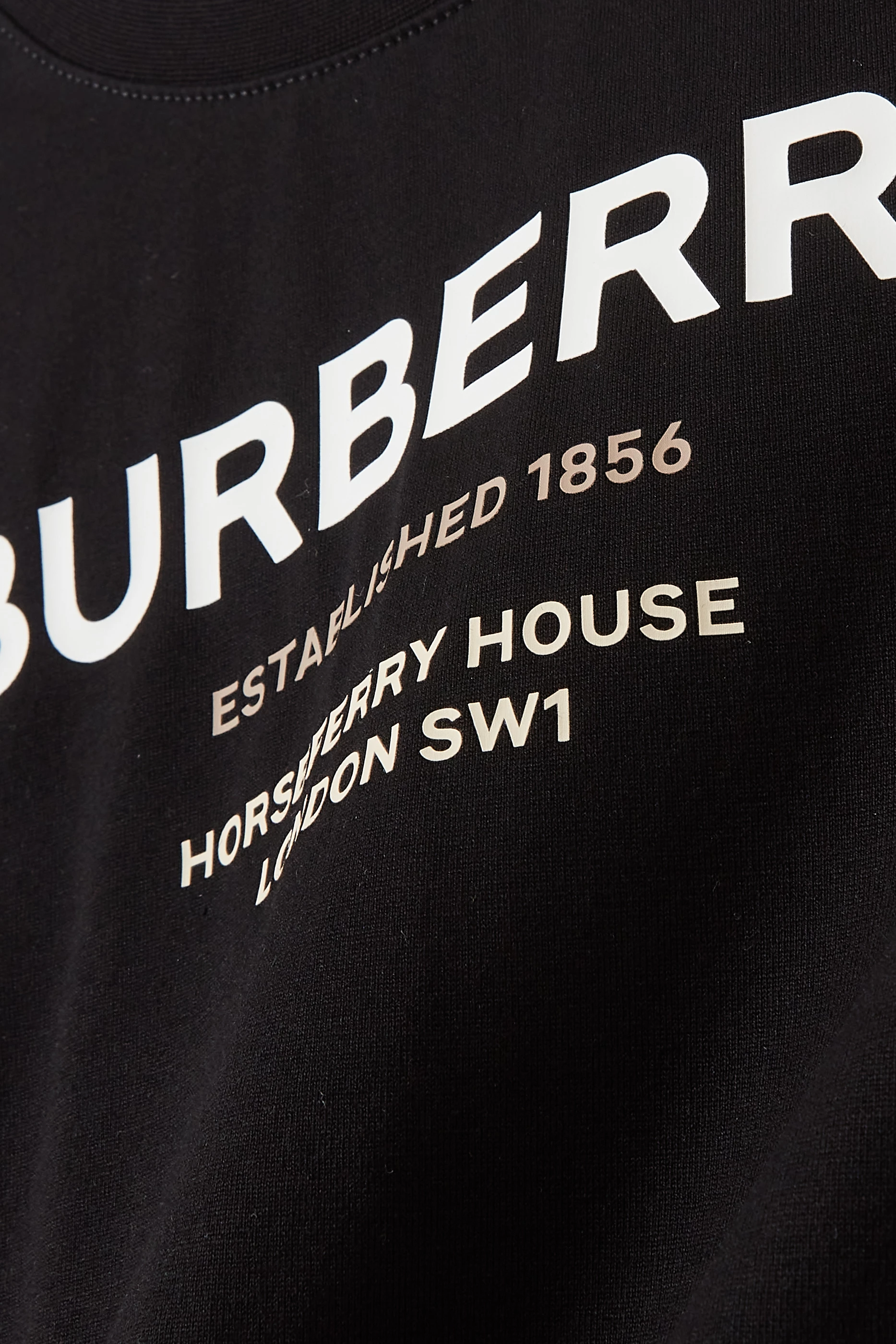 Burberry established 1856 logo shop