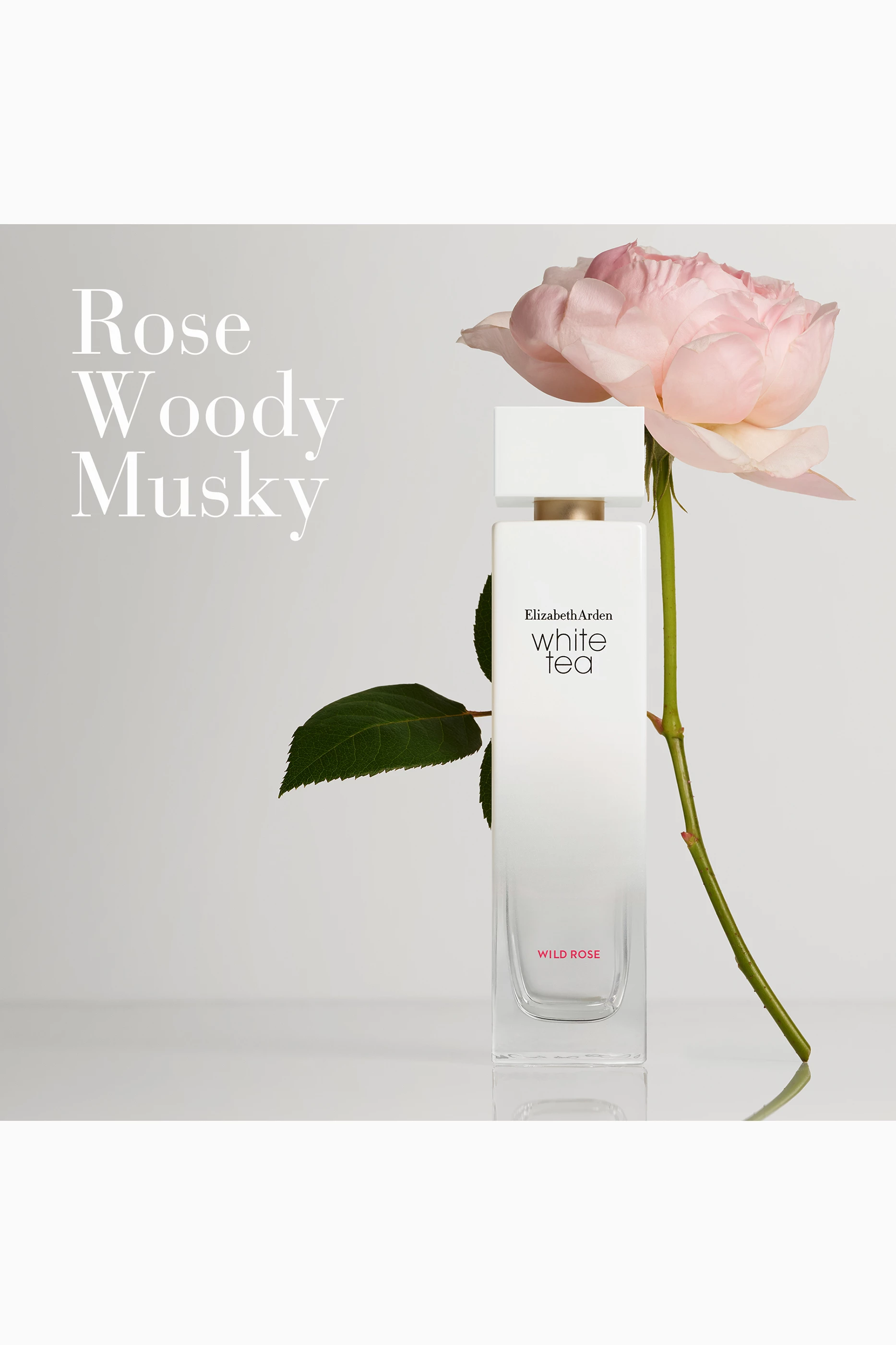 White tea elizabeth arden wild rose best sale