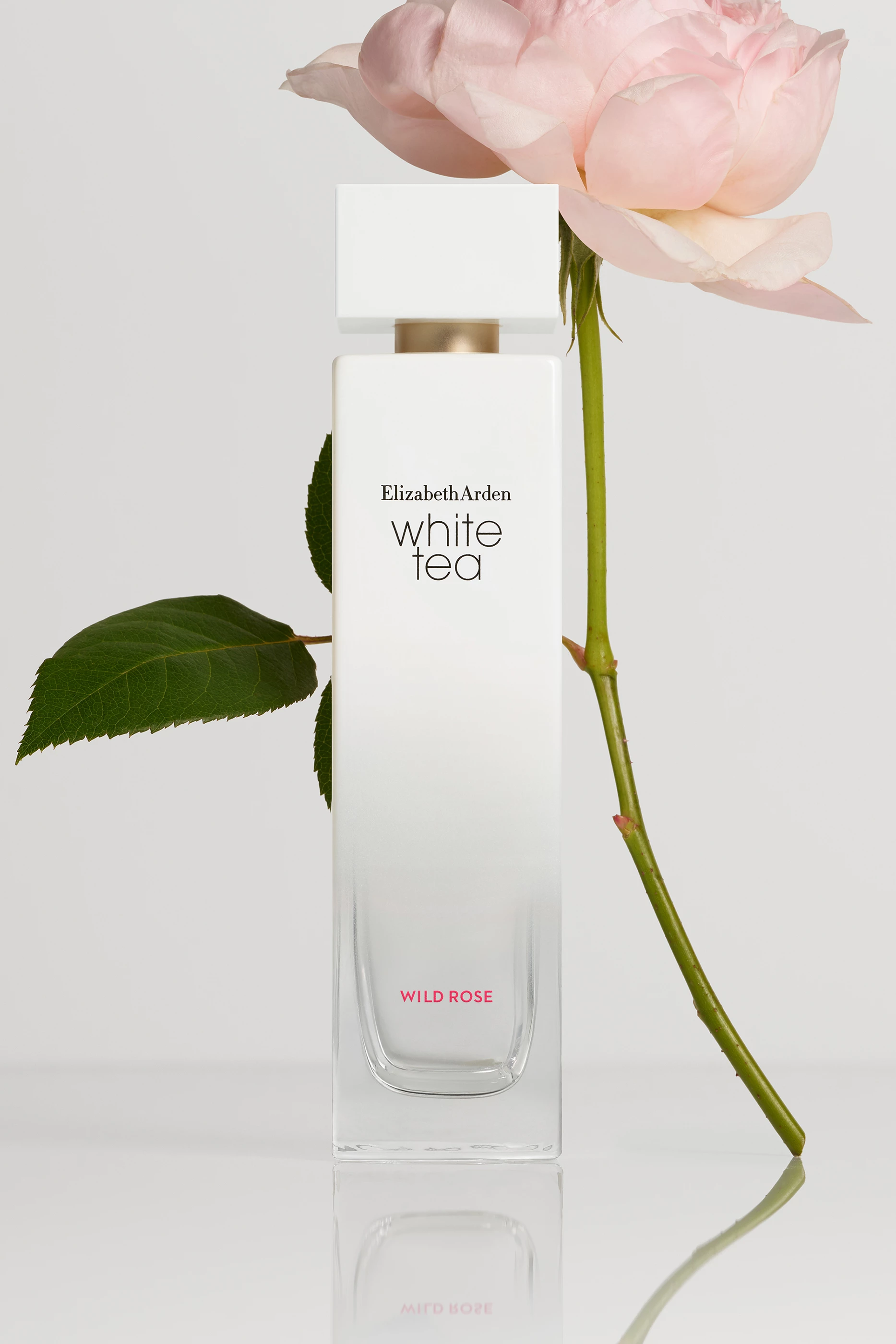 Elizabeth arden wild rose store