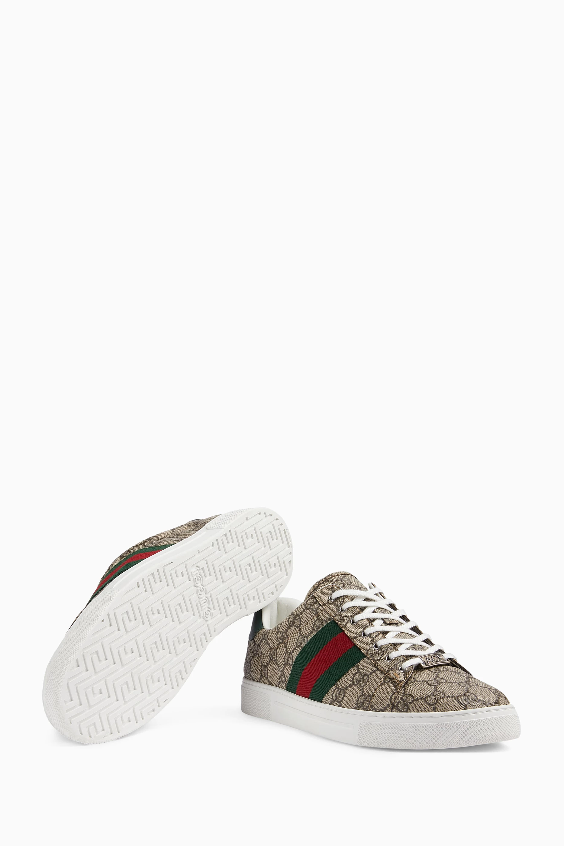 Ace gg supreme sneaker cheap outlet
