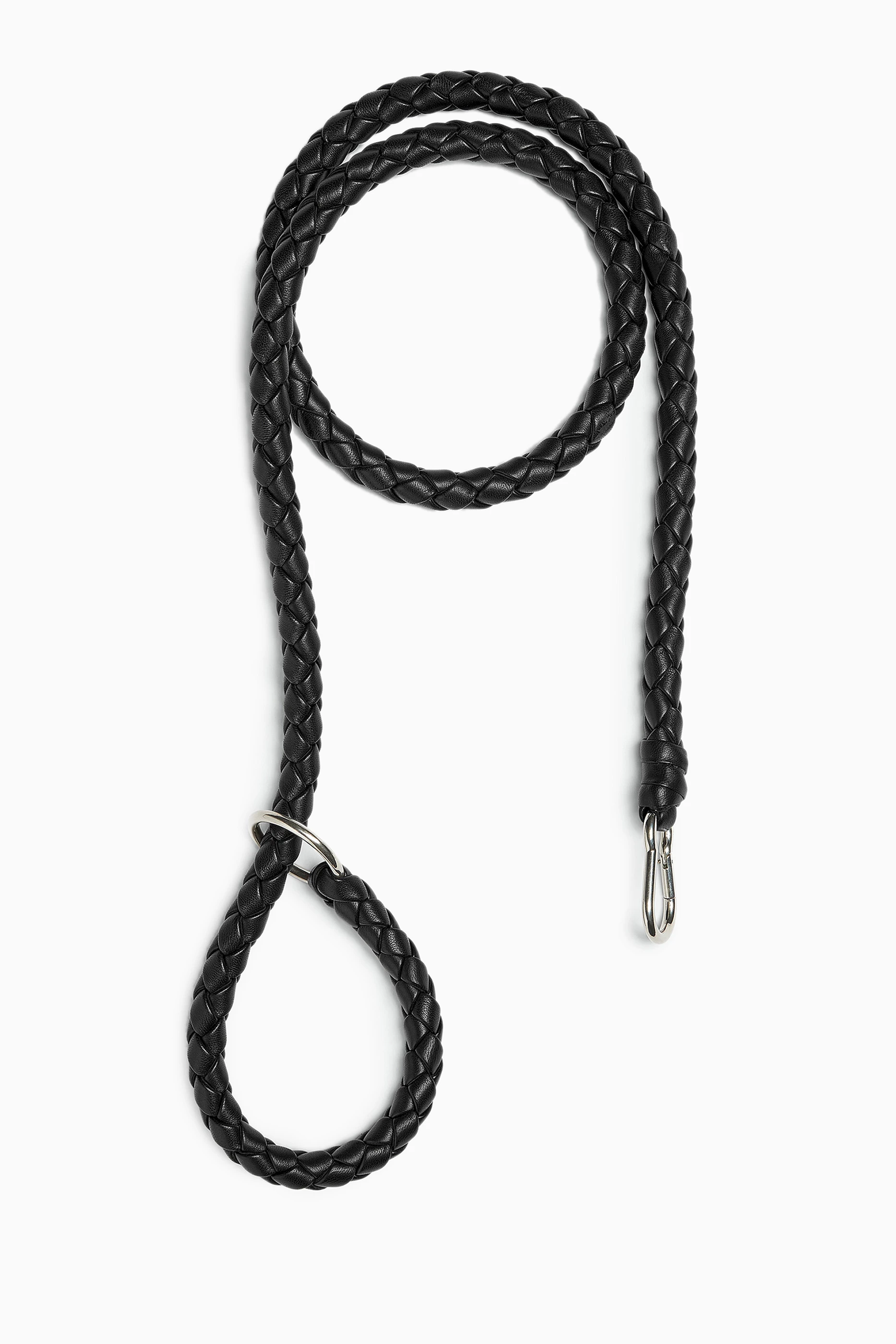Black leash online