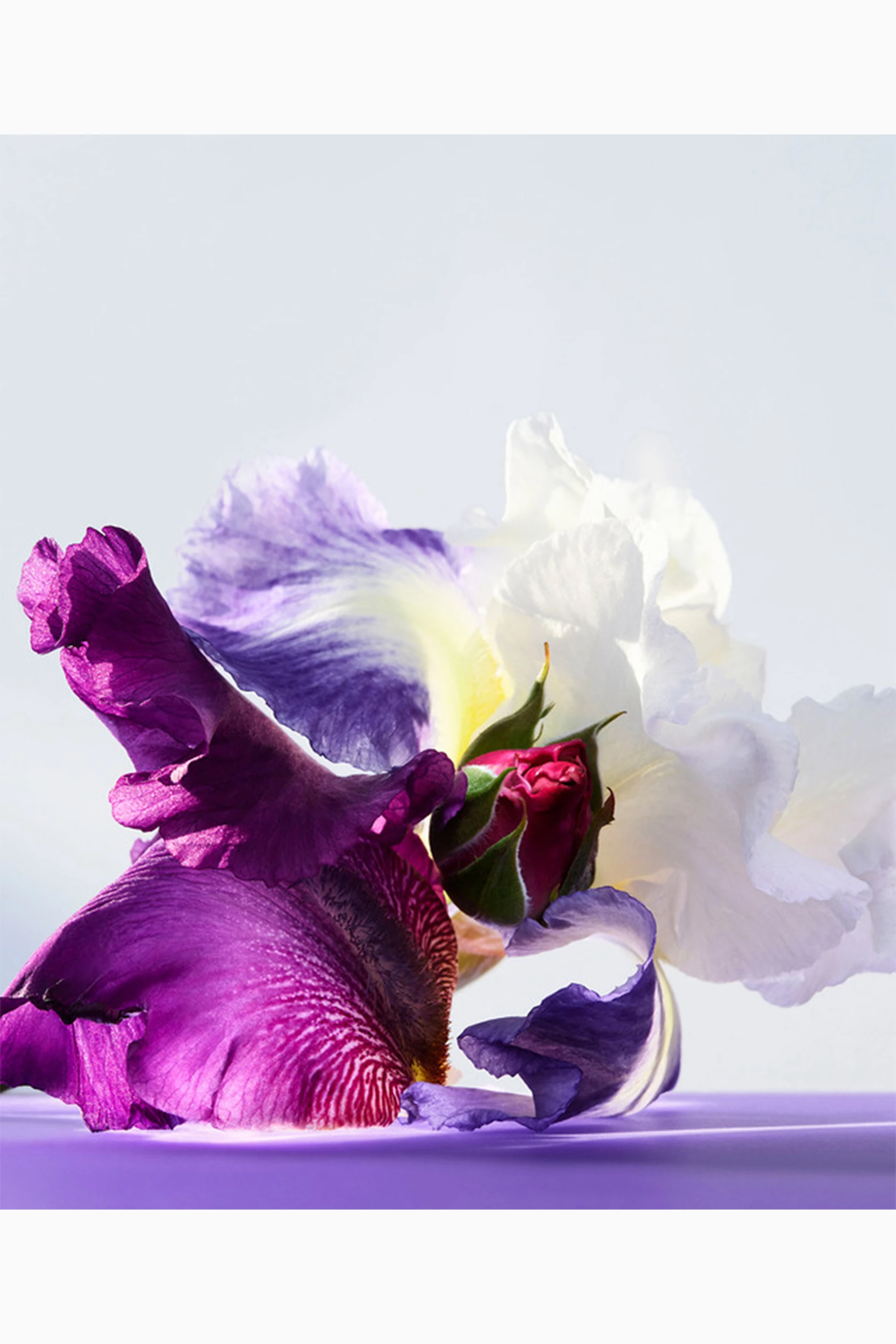 Omnia amethyste on sale 100ml