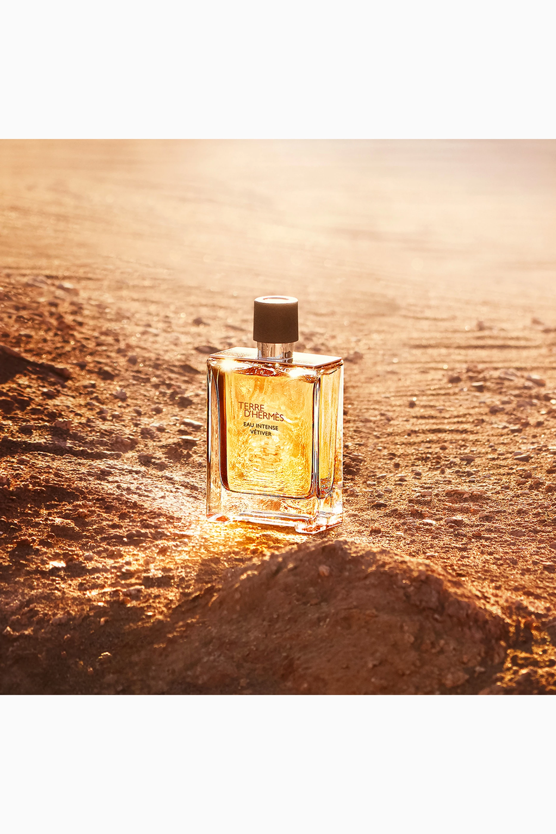 Buy HERMÈS Terre d'Hermès Eau Intense Vétiver Eau de Parfum