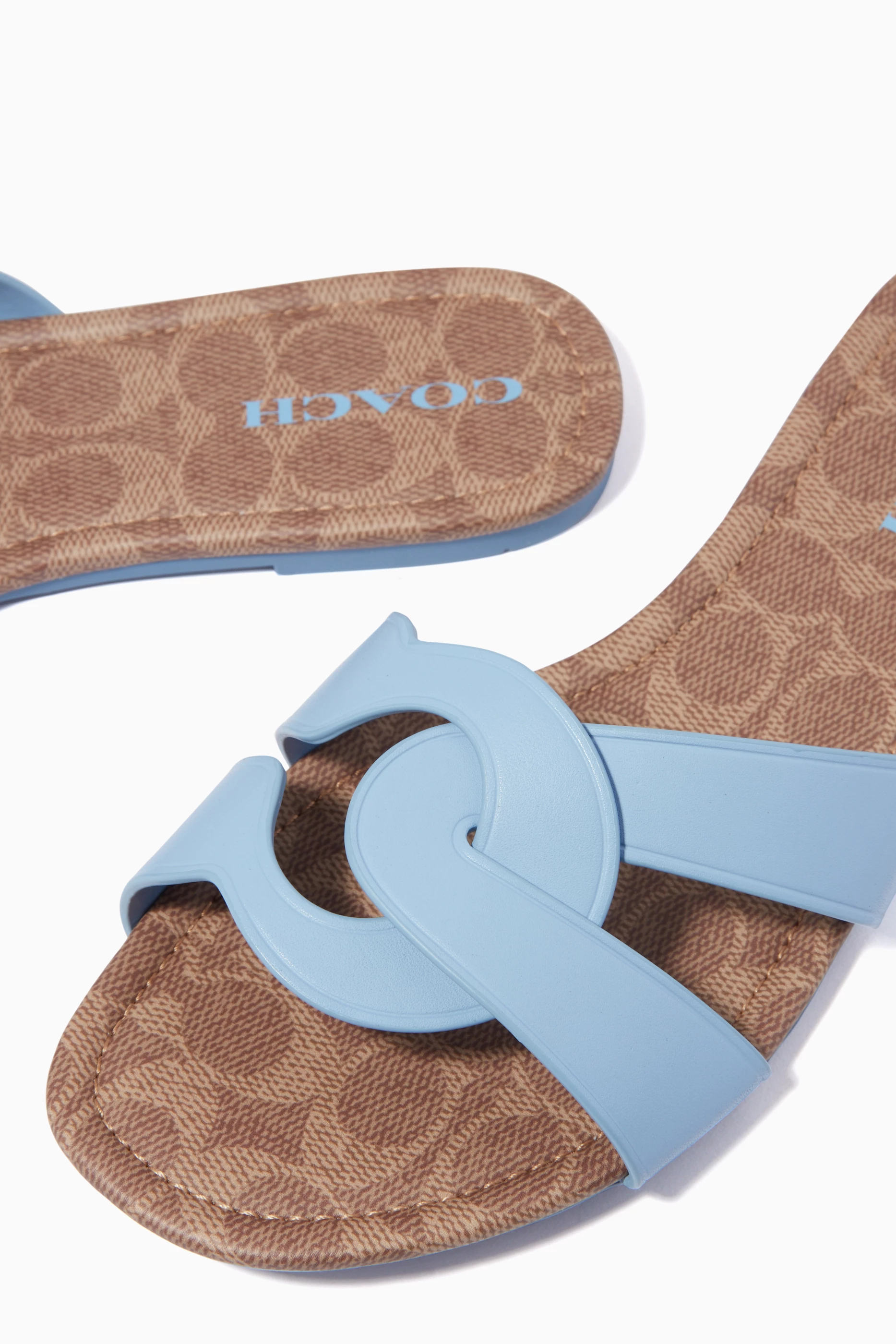 Flat Sandals Coach Essie Leather Sandals Buy Coach Blue Essie