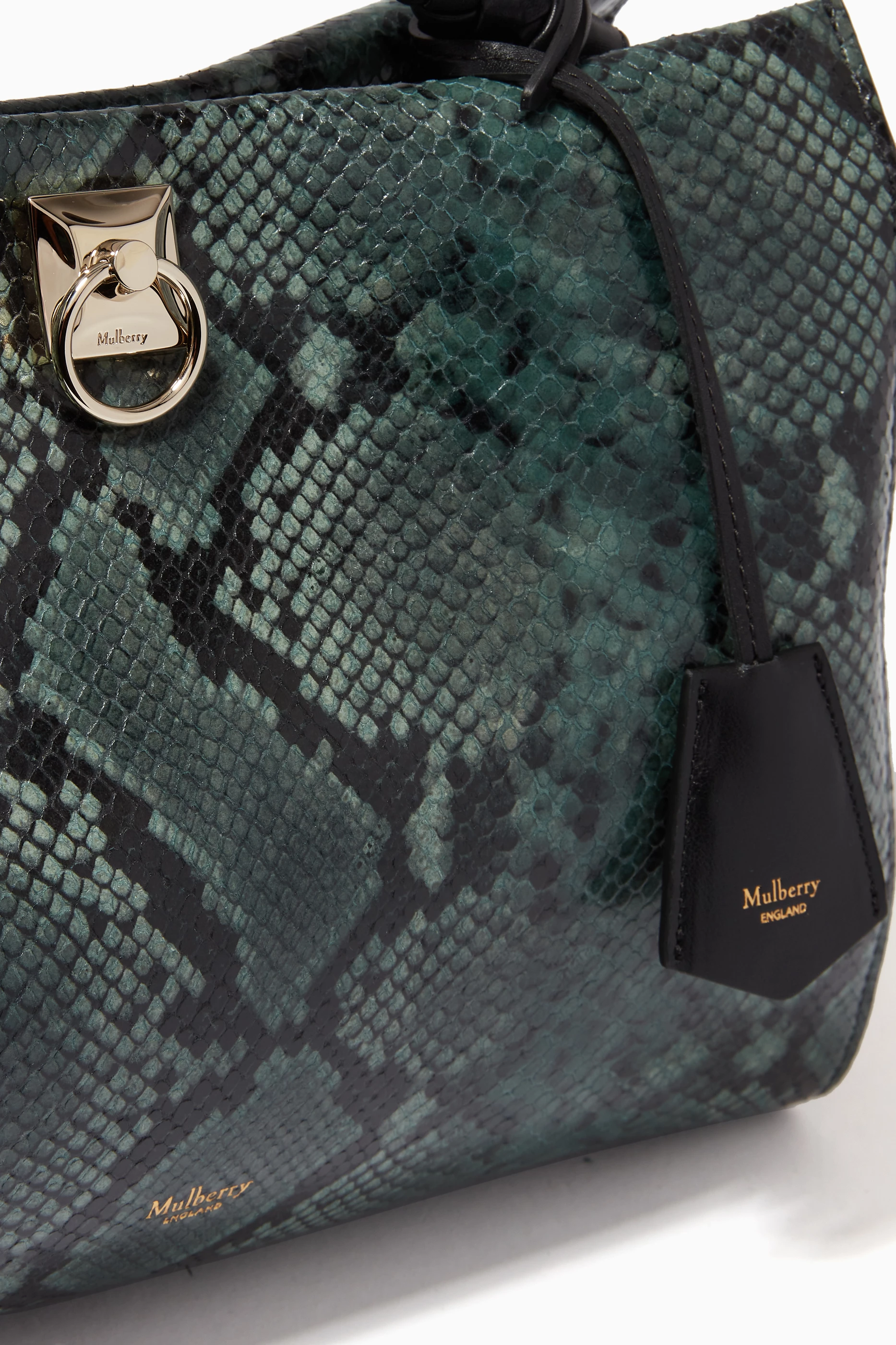 Mulberry python bag clearance