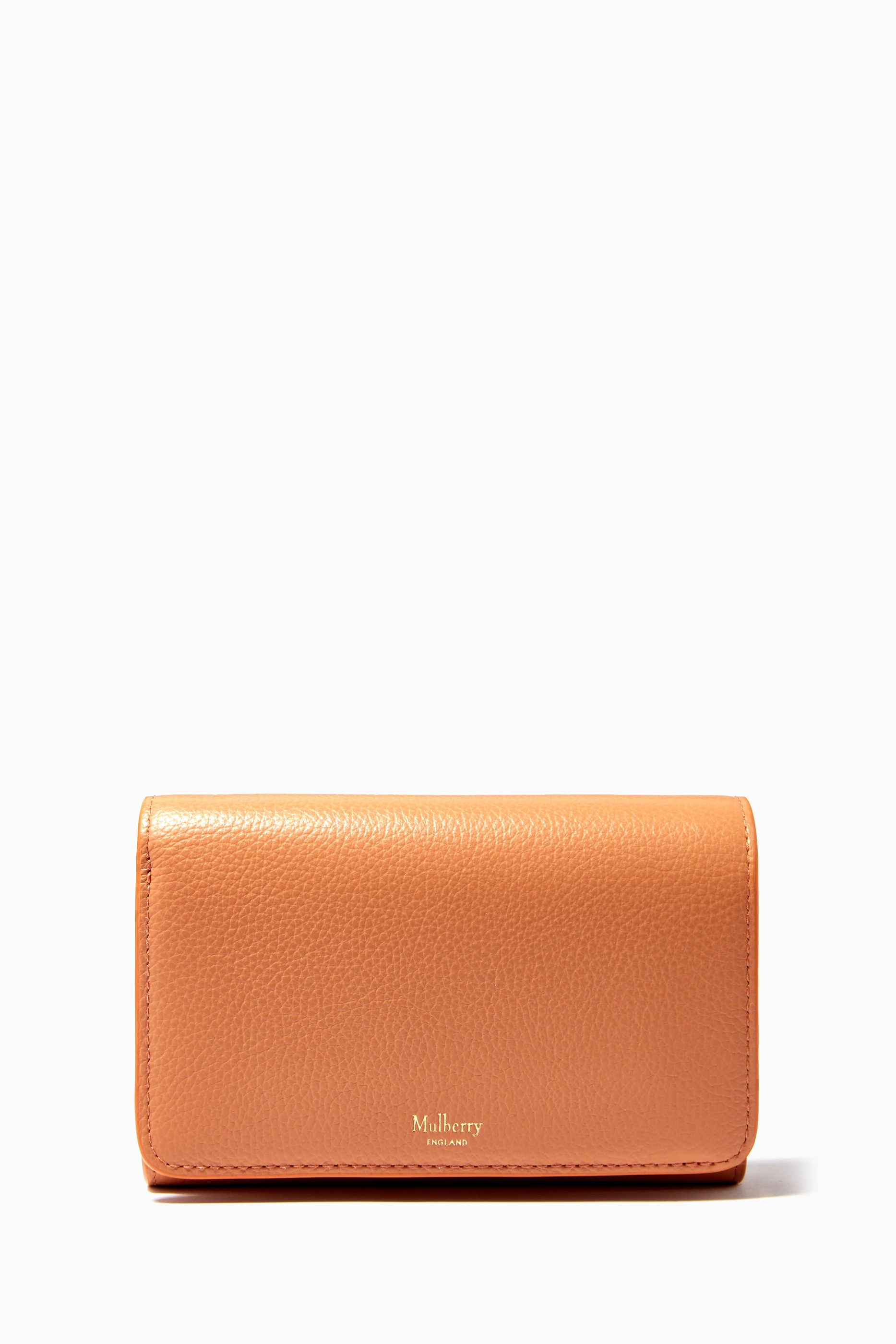 Mulberry medium purse 2025