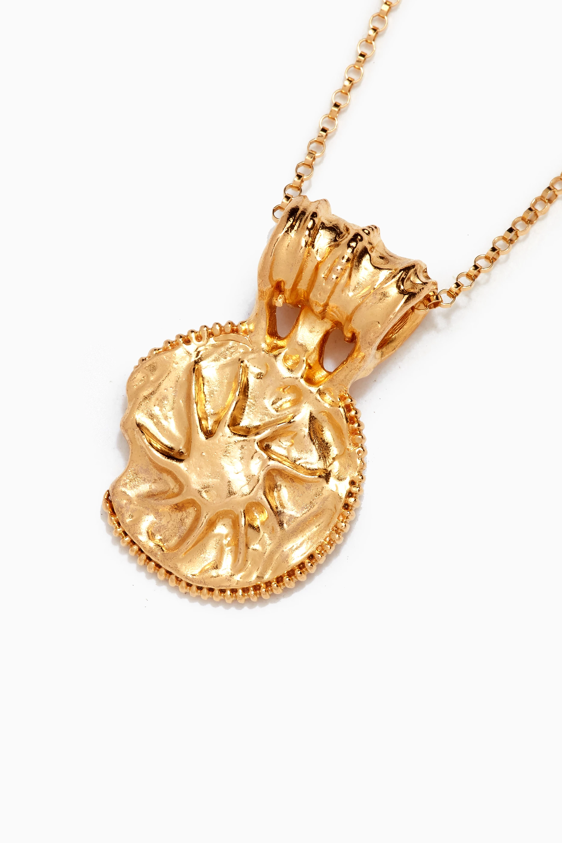 ALIGHIERI THE MEDIUM SUN SALUTATIONS MEDALLION ネックレス Alighieri The Medium Sun Salutations Medallion Necklace