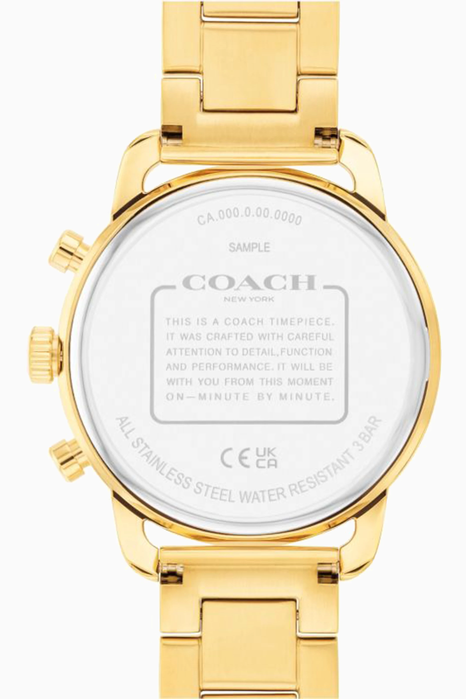 Coach GRAND Ladies Wrist Watch - 14000088: Buy Online at Best Price in UAE  - Amazon.ae