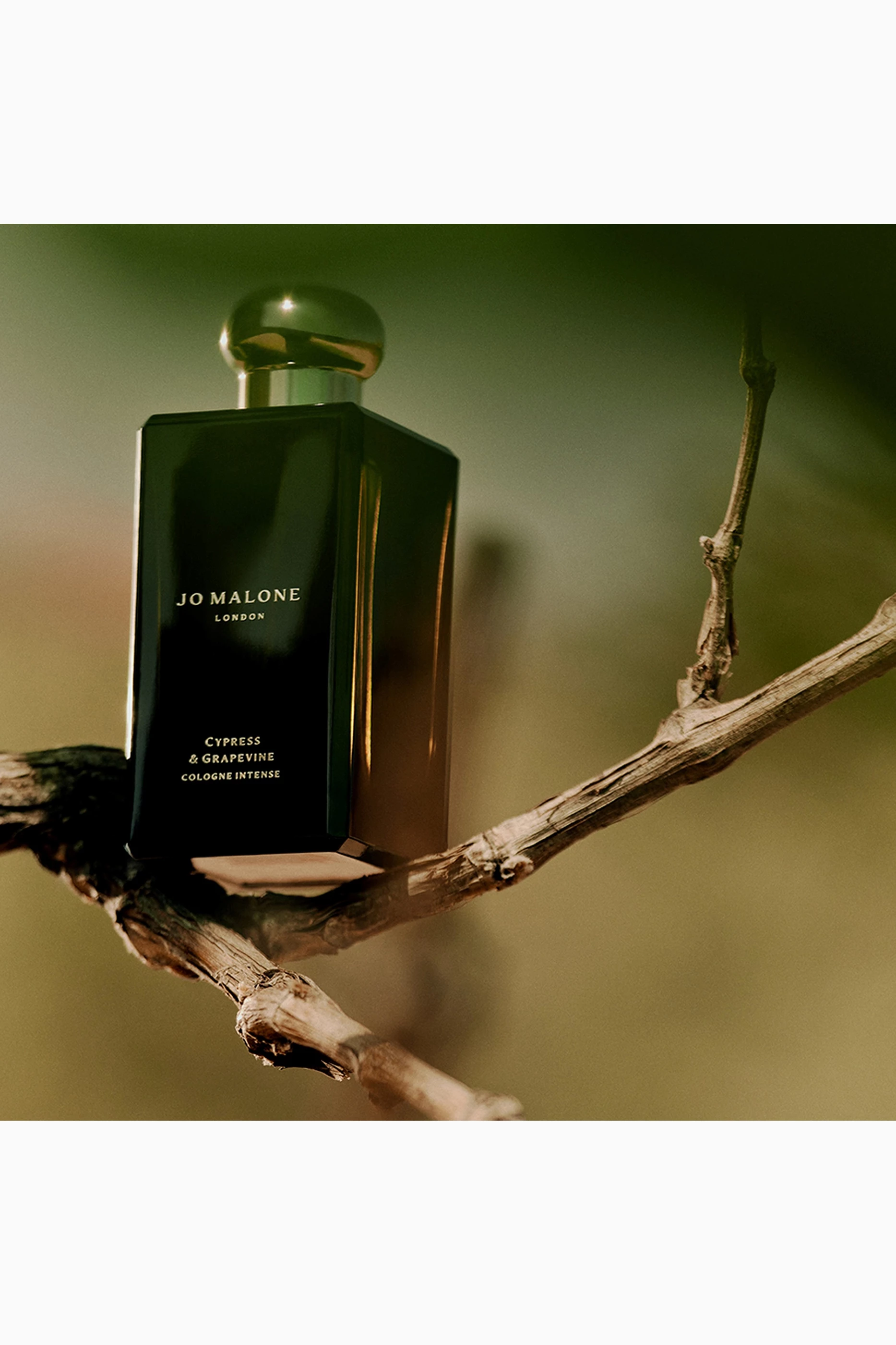 Buy Jo Malone London Cypress & Grapevine Eau de Parfum Intense