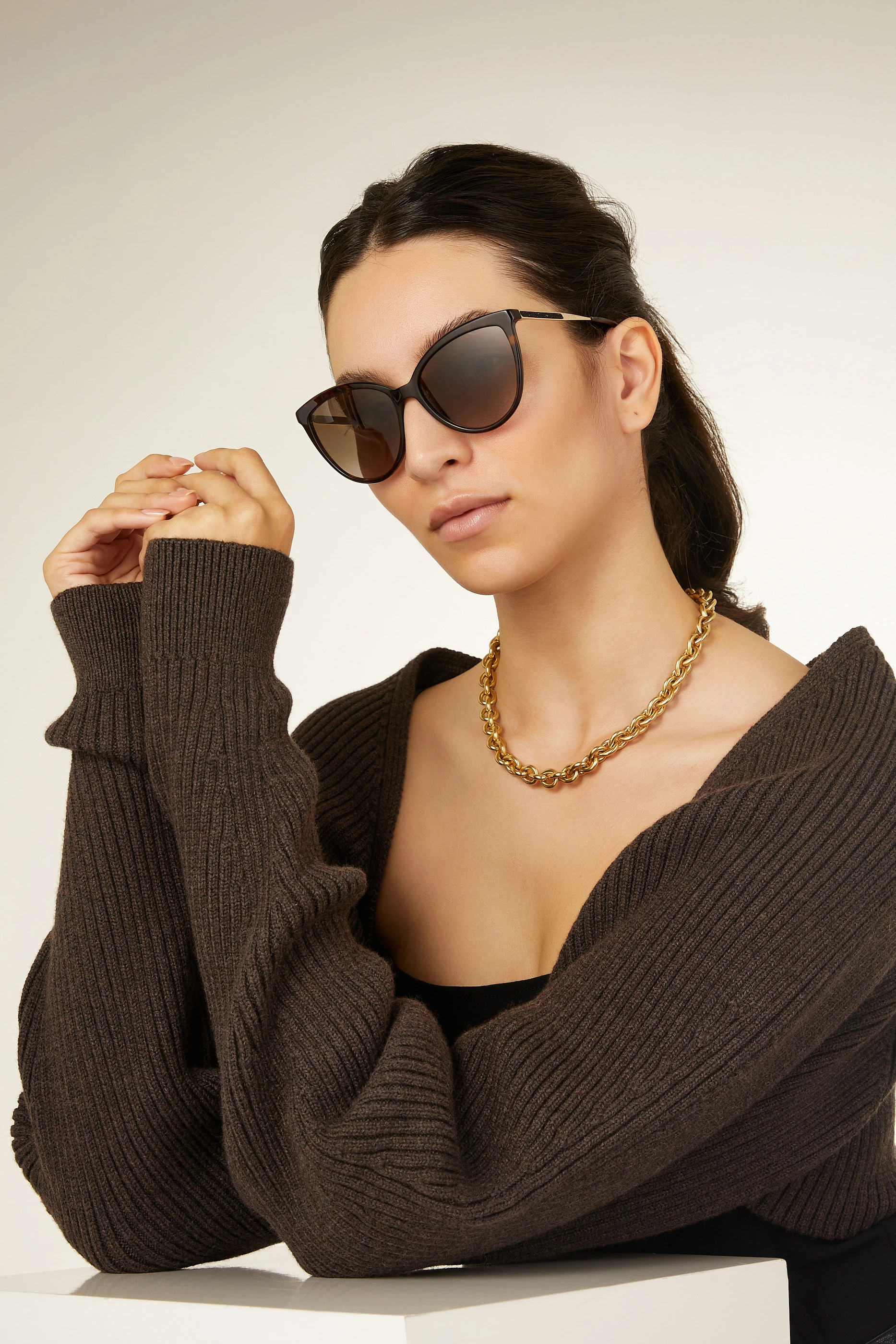 Buy Jimmy Choo Brown Belinda Cat-eye Frame Sunglasses in Acetate