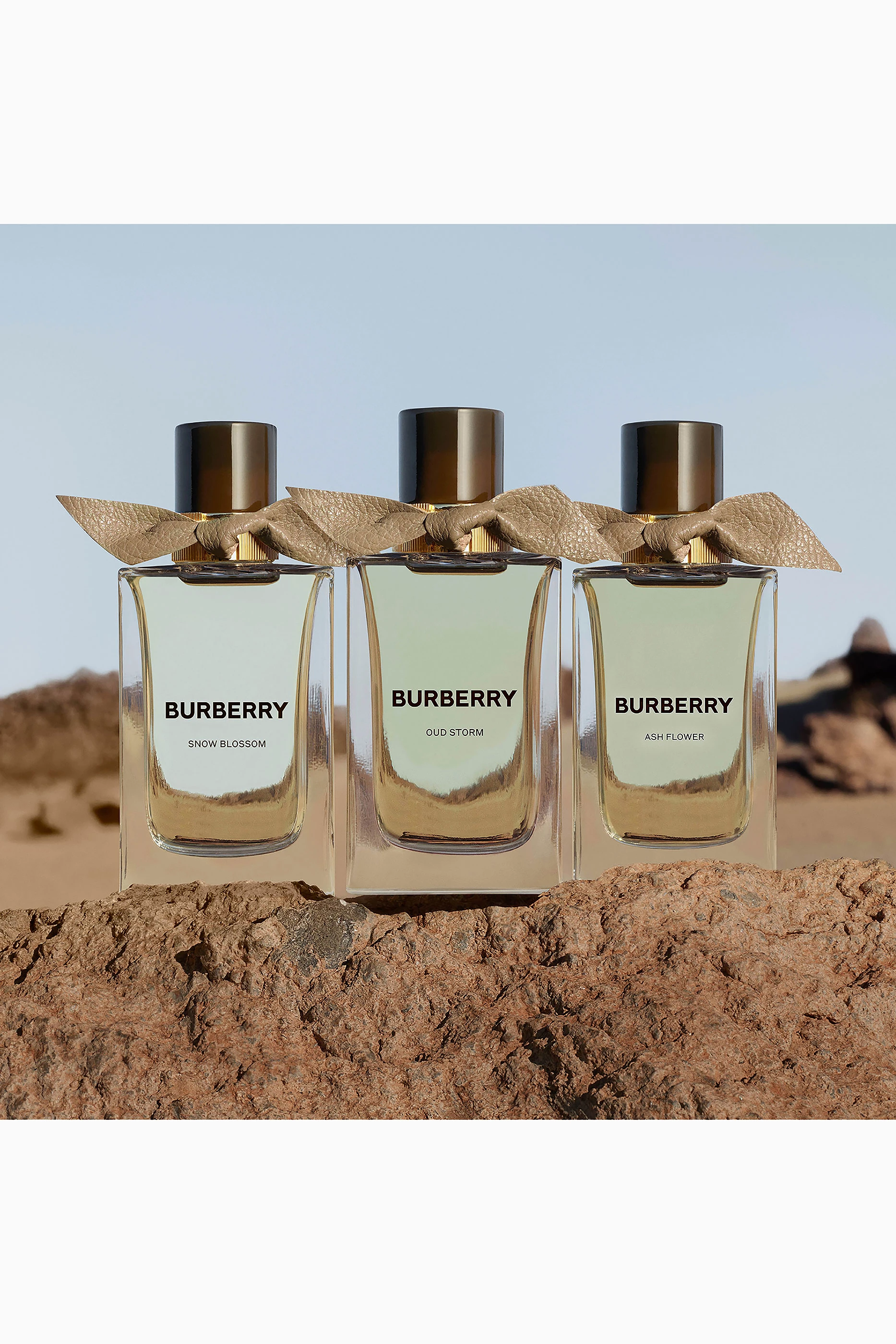 Burberry parfum oud 2025