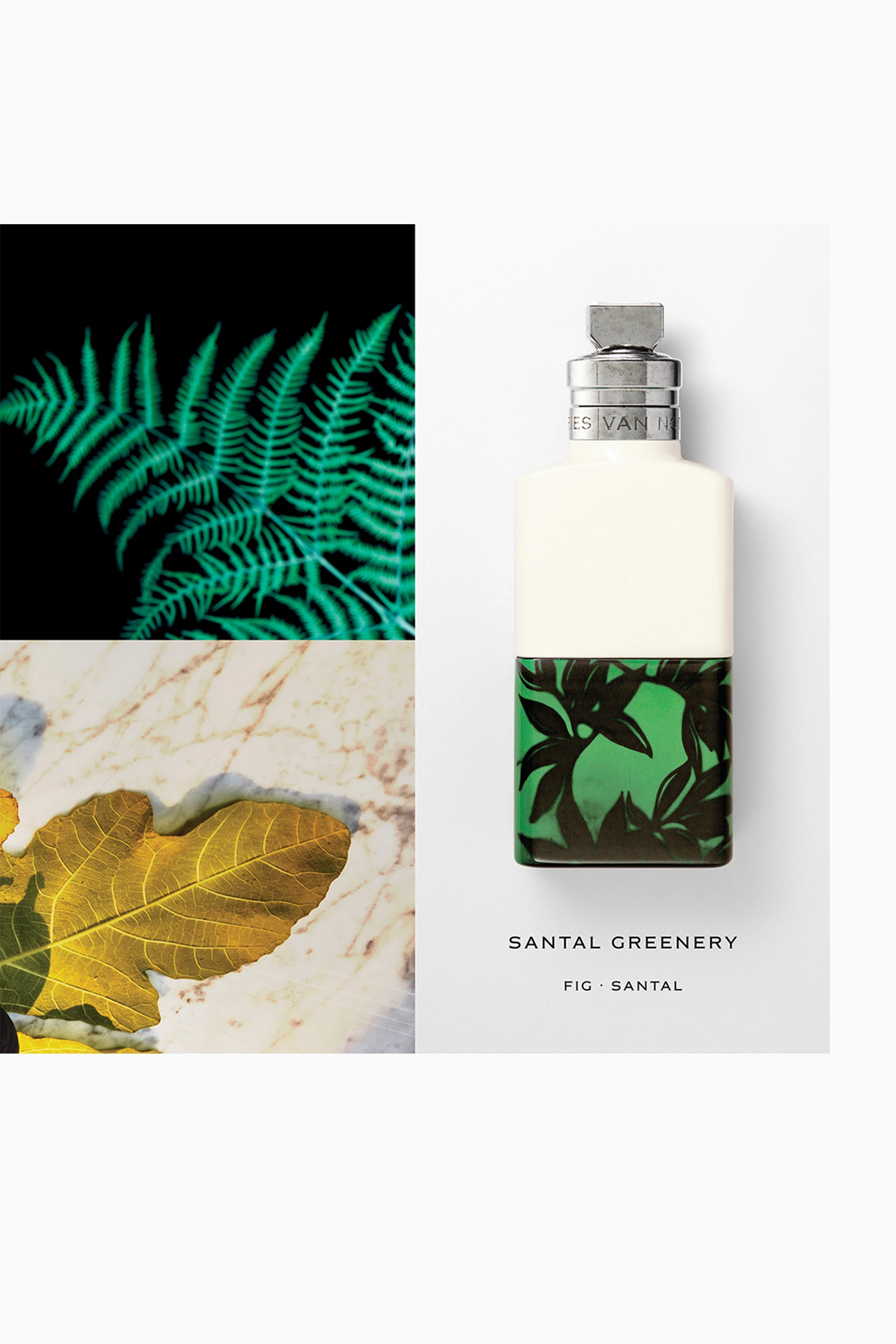 Buy Dries Van Noten Santal Greenery Eau de Parfum, 100ml For