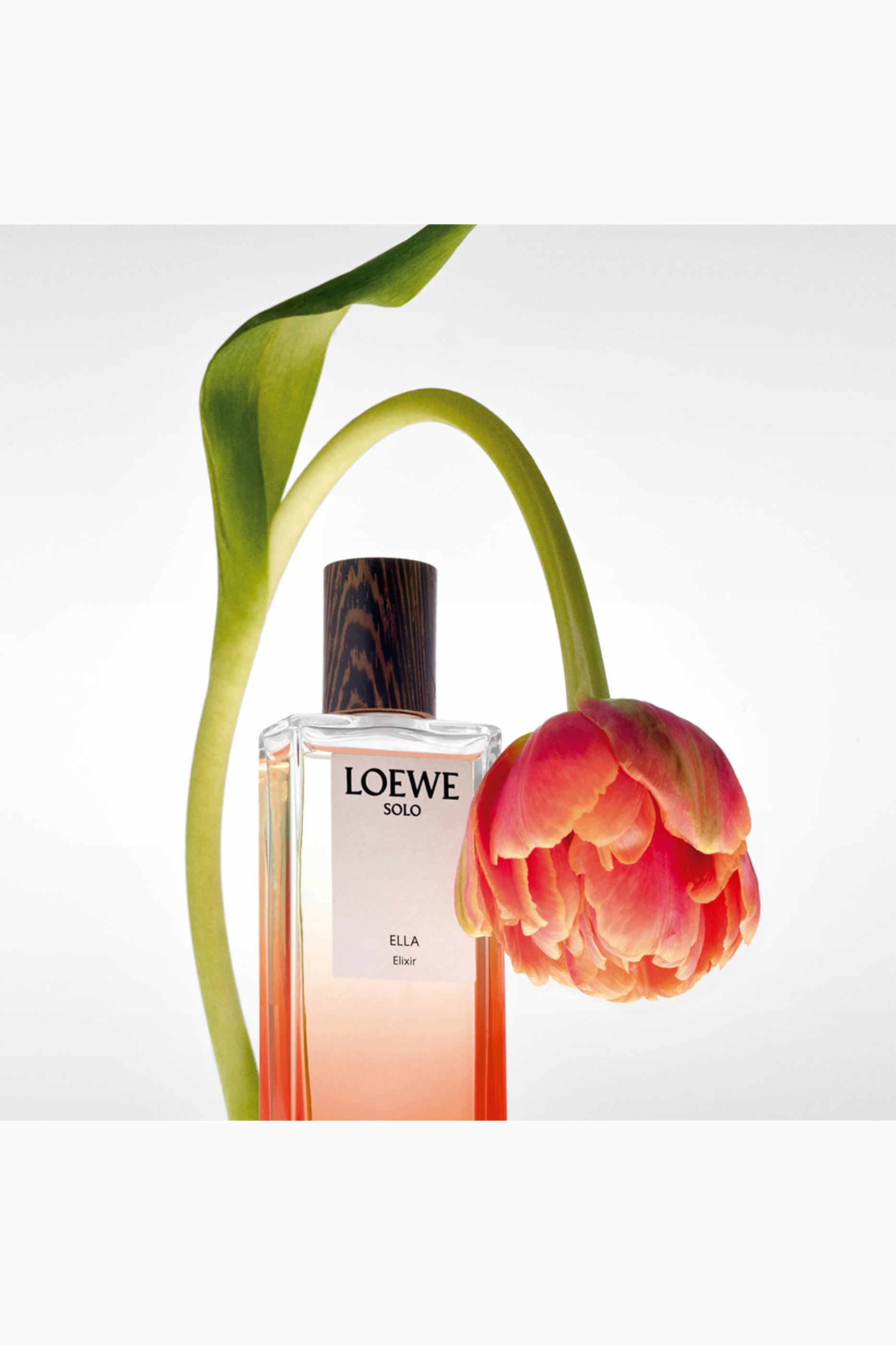 Buy LOEWE PERFUMES Solo Ella Elixir Eau de Parfum, 100ml For Women