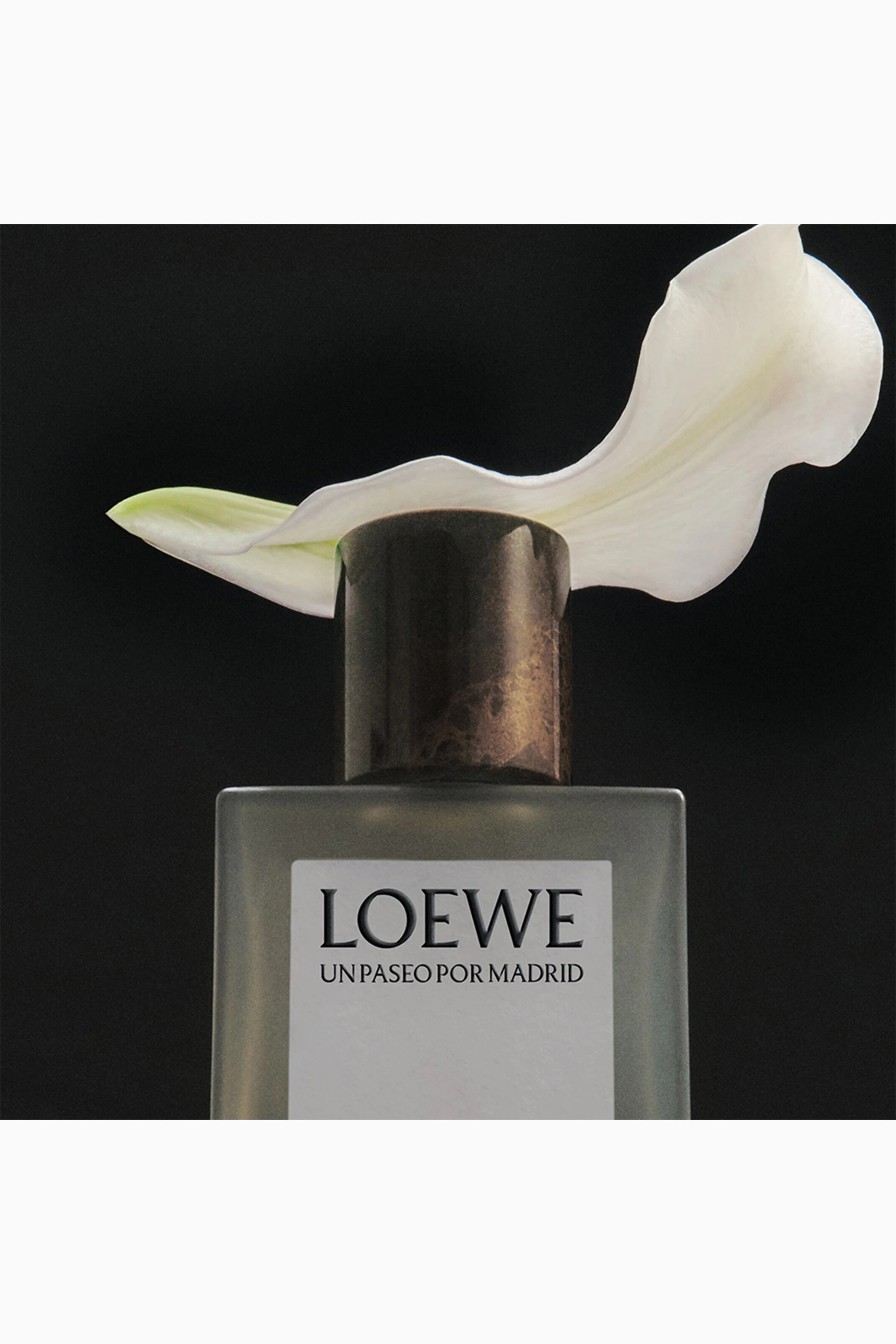 LOEWE UN PASEO POR MADRID ÓPERA 100ml Buy LOEWE PERFUMES Un Paseo Por Madrid Ópera Eau de Parfum, 100ml