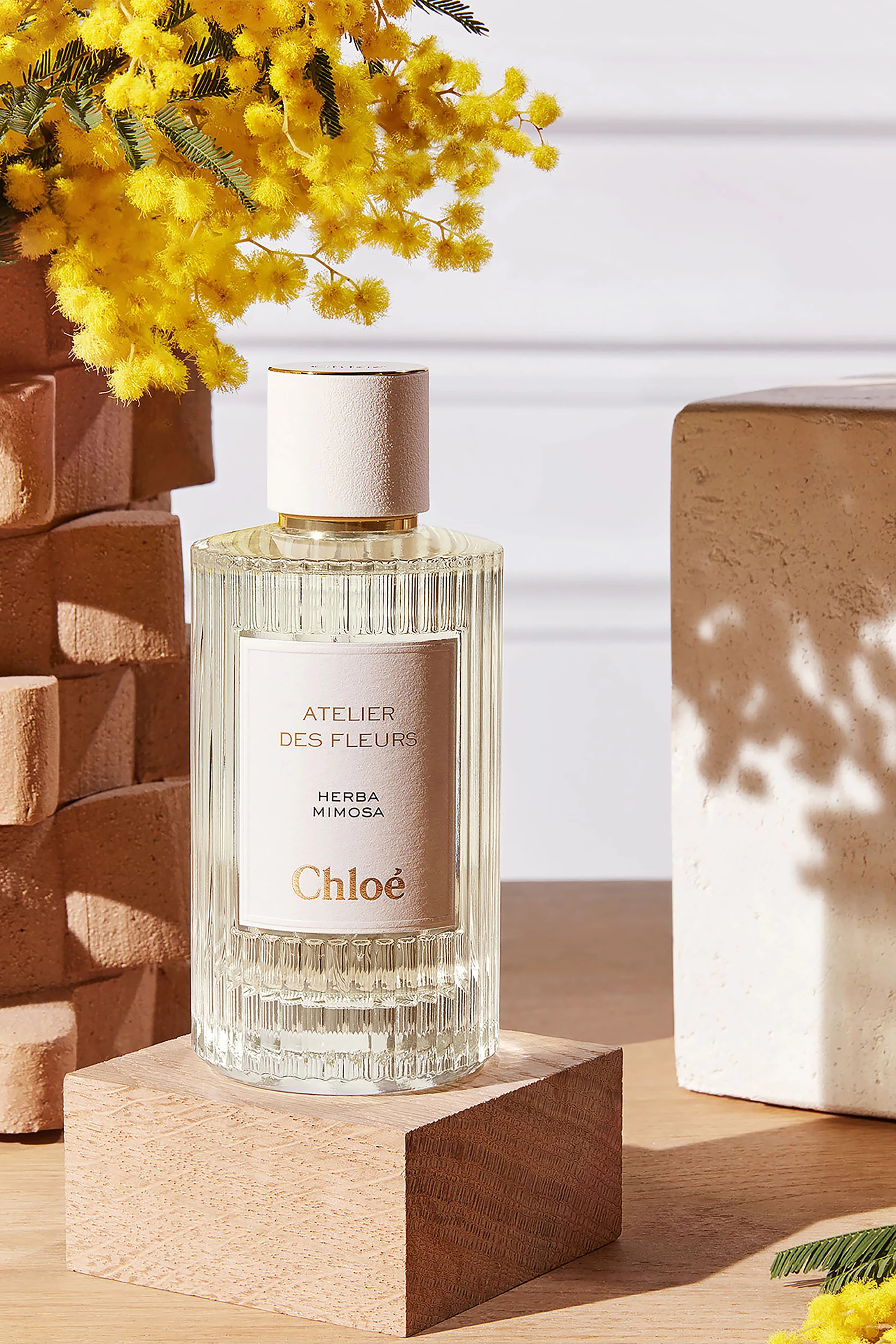 Buy Chloé Perfumes Atelier des Fleurs Herba Mimosa Eau de Parfum