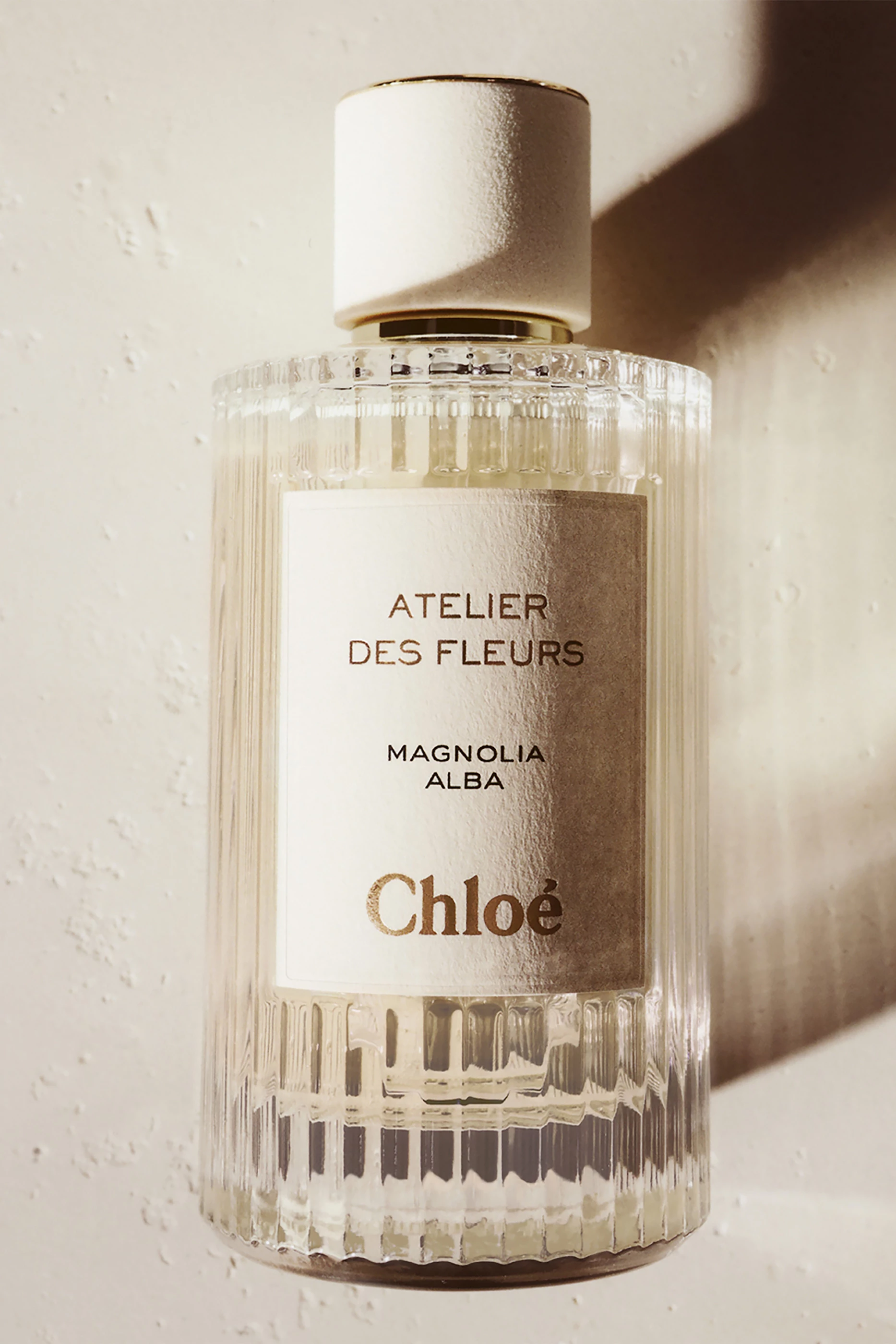 Chloé Magnolia Alba 150ml 香水 【お値段交渉アリ】 Chloé Magnolia Alba 150ml 香水 【お値段交渉アリ】 Chloé