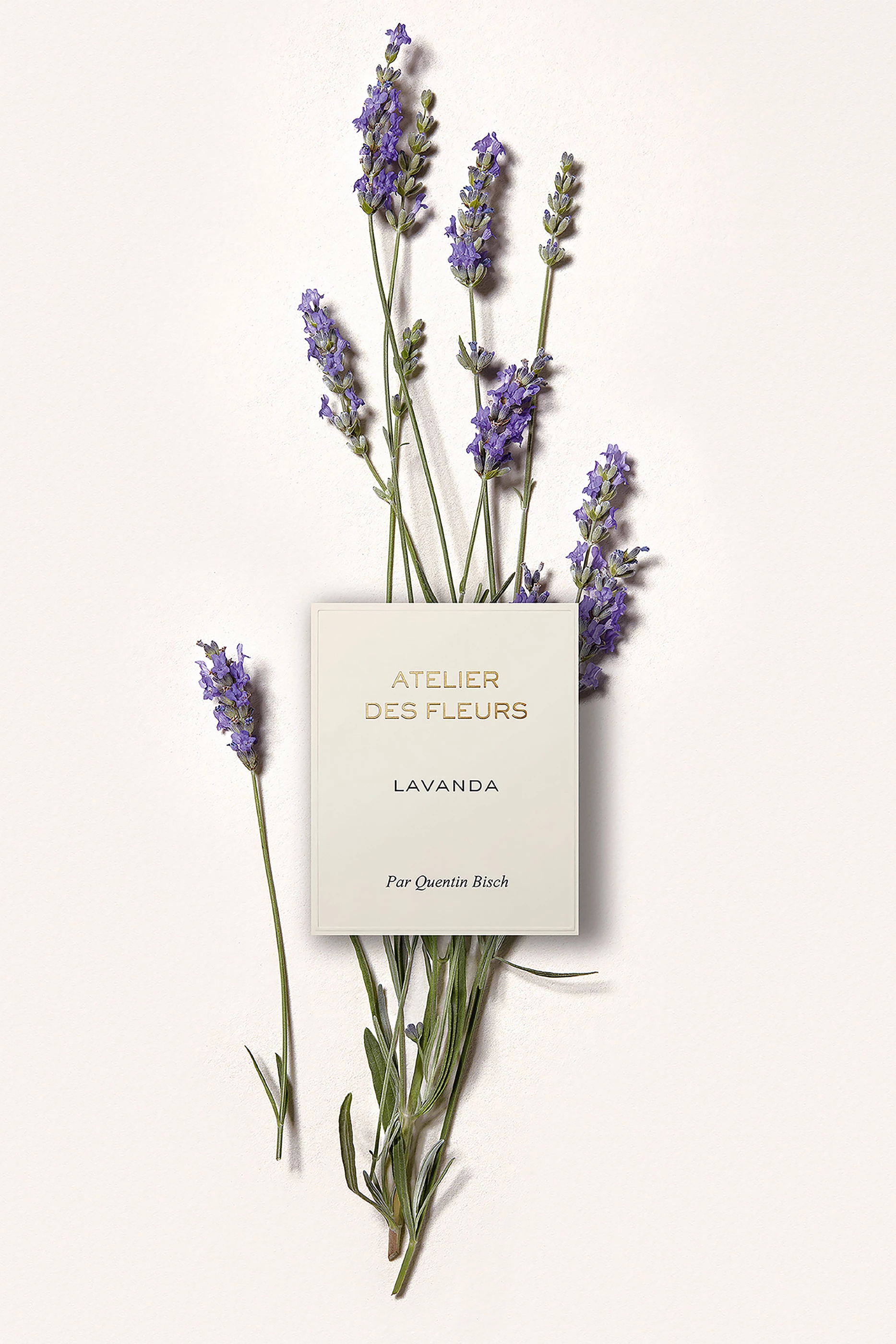 Buy Chloé Perfumes Atelier des Fleurs Lavanda Eau de Parfum