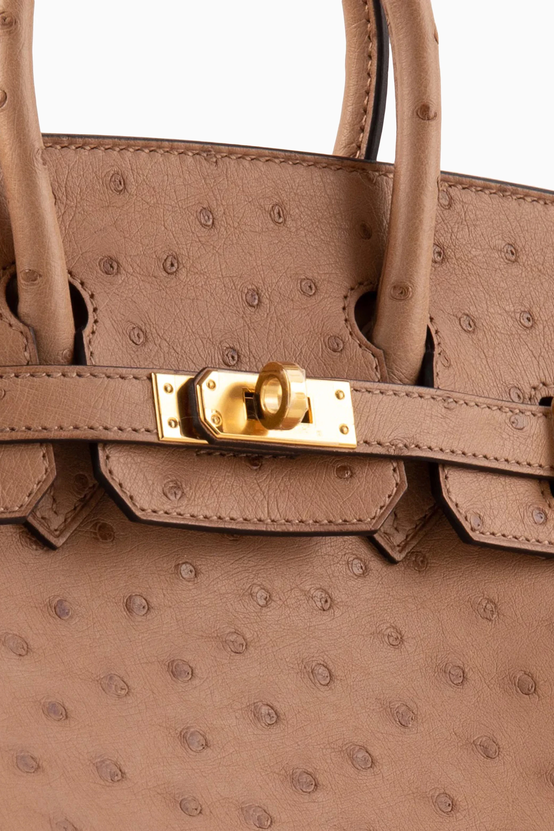 Birkin 25 ostrich store