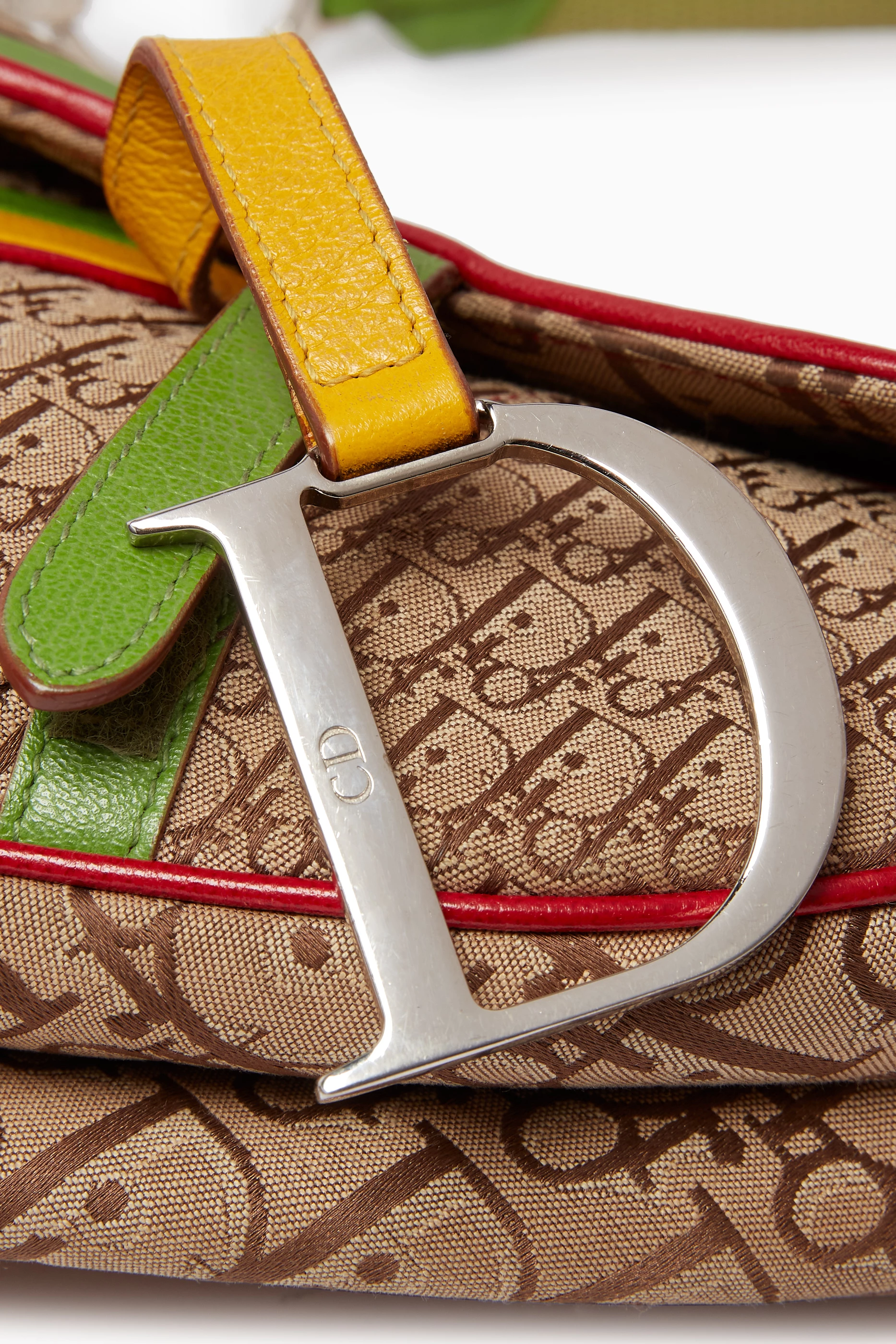 Dior rasta saddle outlet