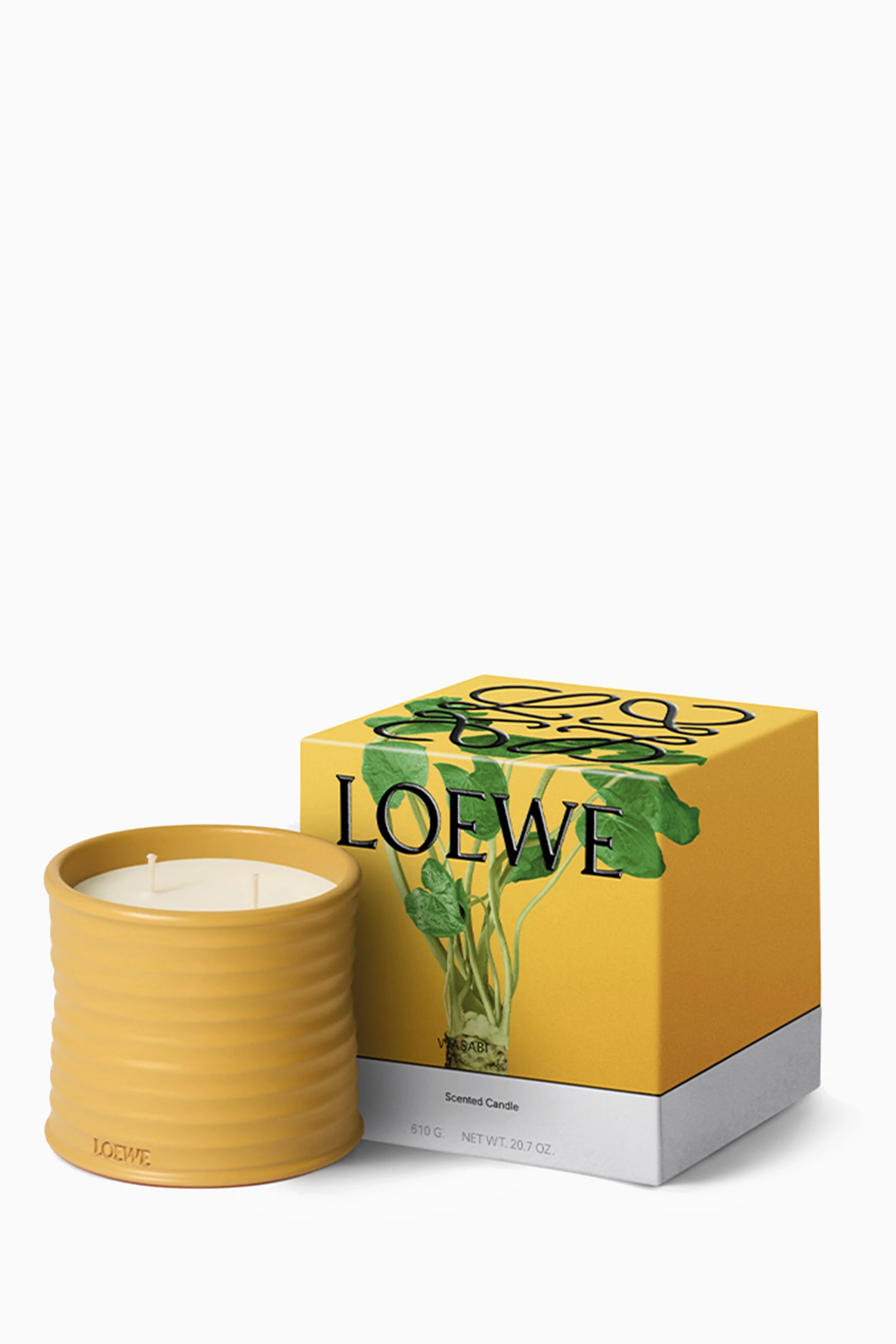 Buy LOEWE PERFUMES Medium Wasabi Candle, 600g For UNISEX Online