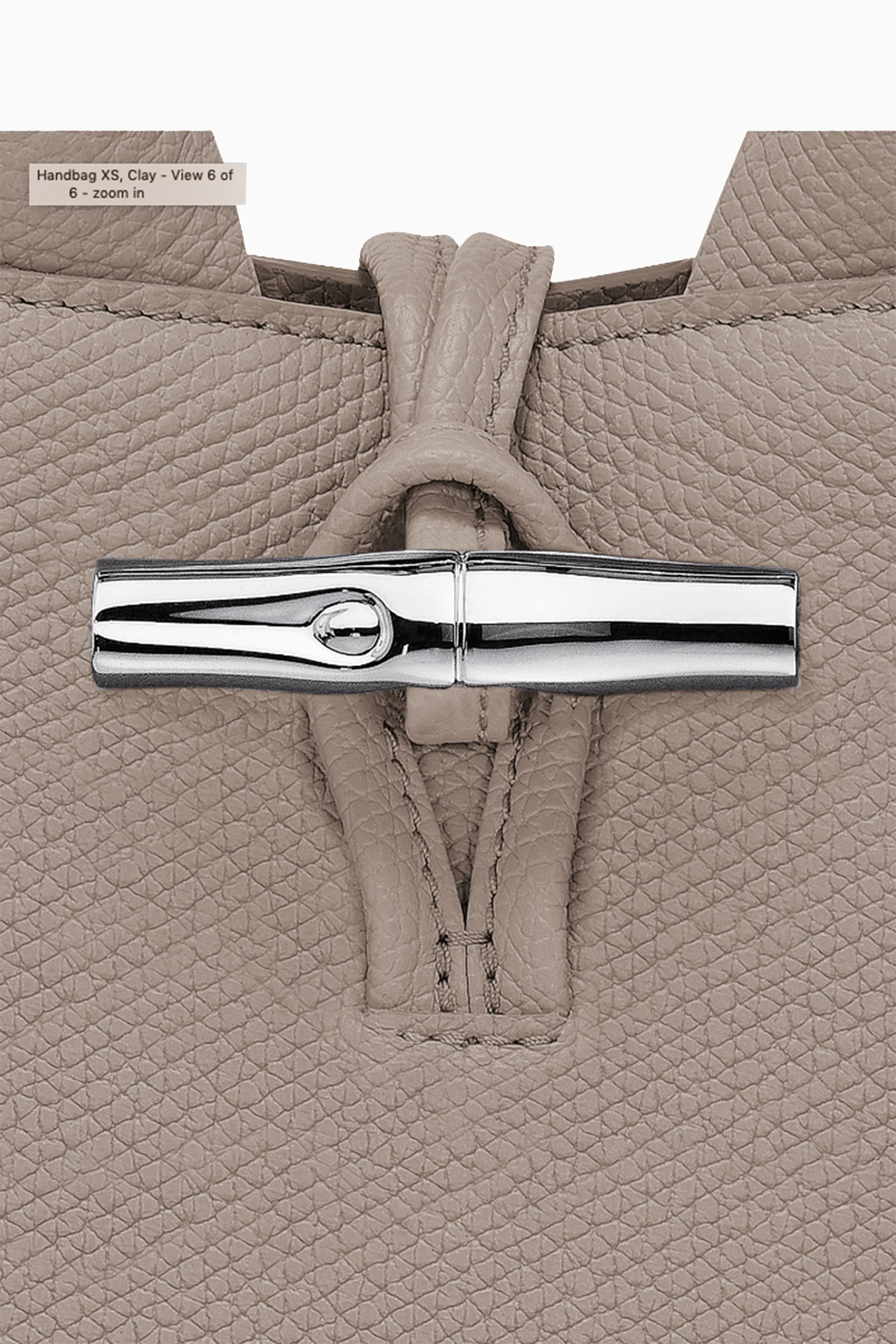 Buy Longchamp Neutral XS Le Roseau Tote Bag in Leather For Women Online Ounass UAE