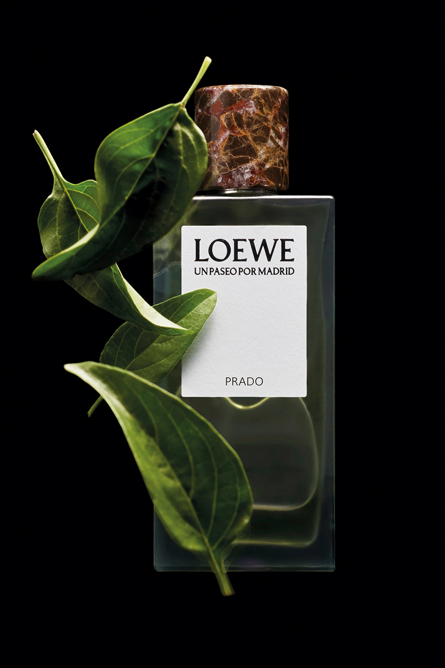 LOEWE UN PASEO POR MADRID オペラ EDP 100ml LOEWE PERFUMES Eau de