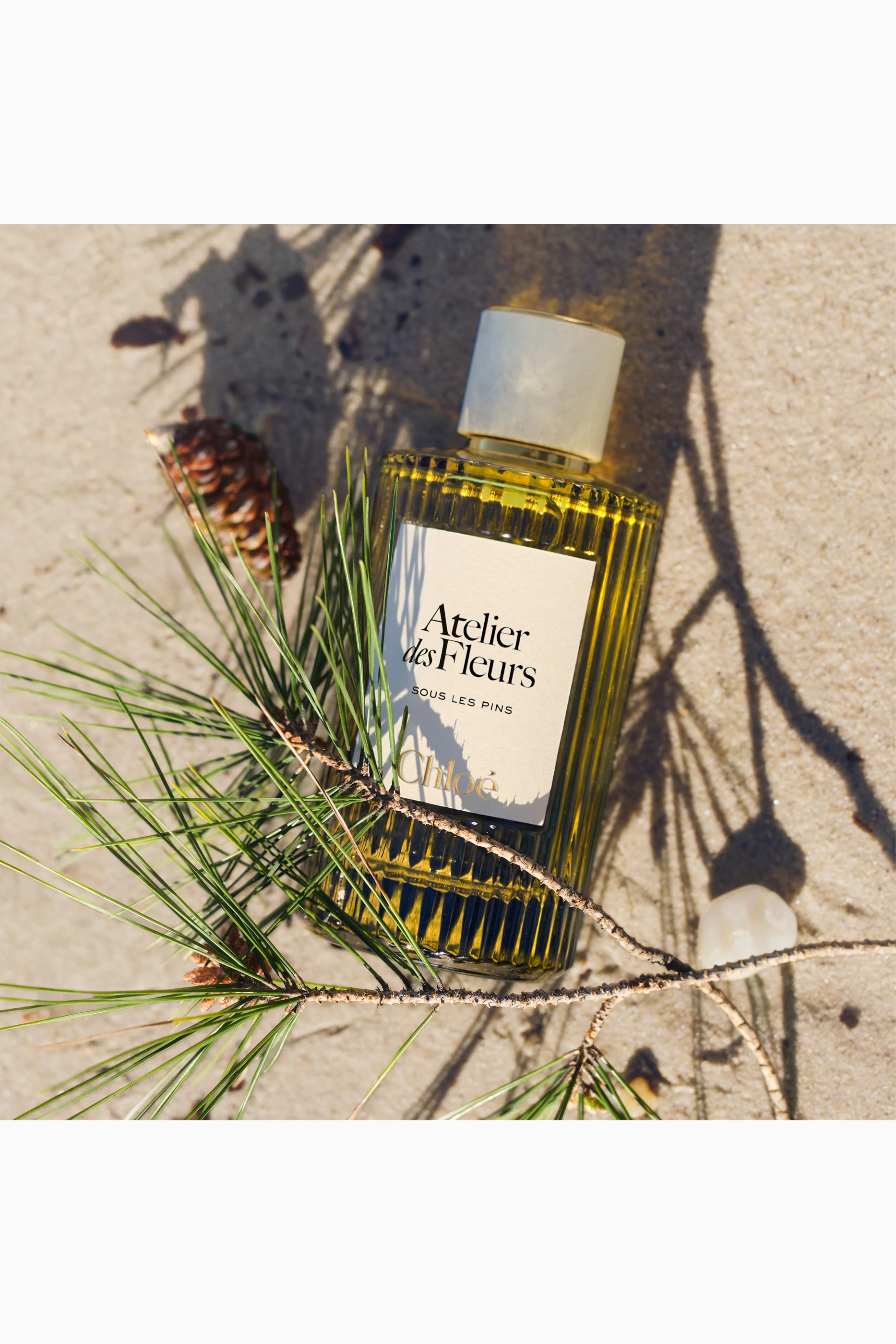 Buy Chloé Perfumes Atelier des Fleurs Sous les Pins Eau De Parfum 