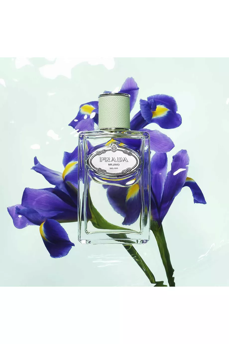 Prada iris infusion cheap