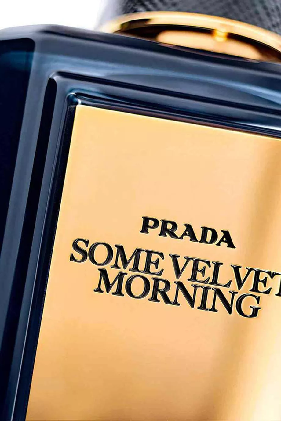 Some velvet sales morning prada