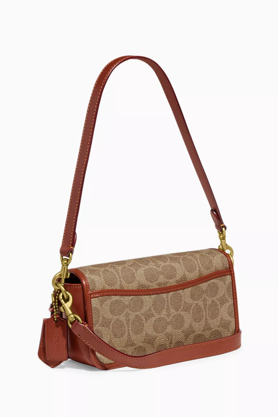 Baguette bag coach 2025