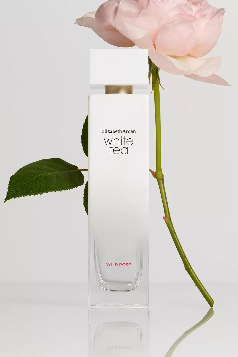 White tea store rose elizabeth arden