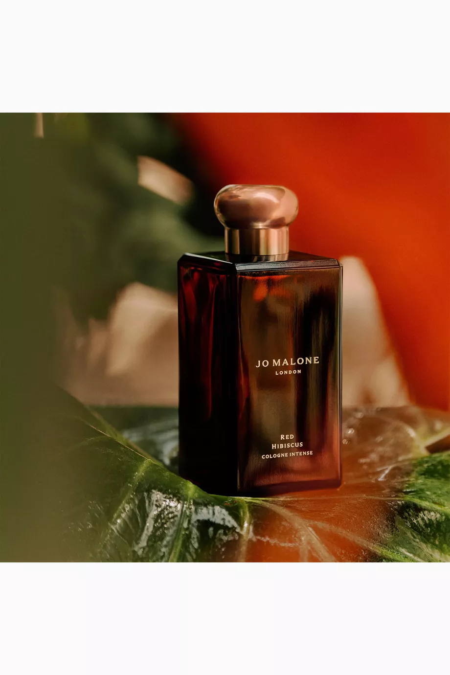Red hibiscus cologne discount intense