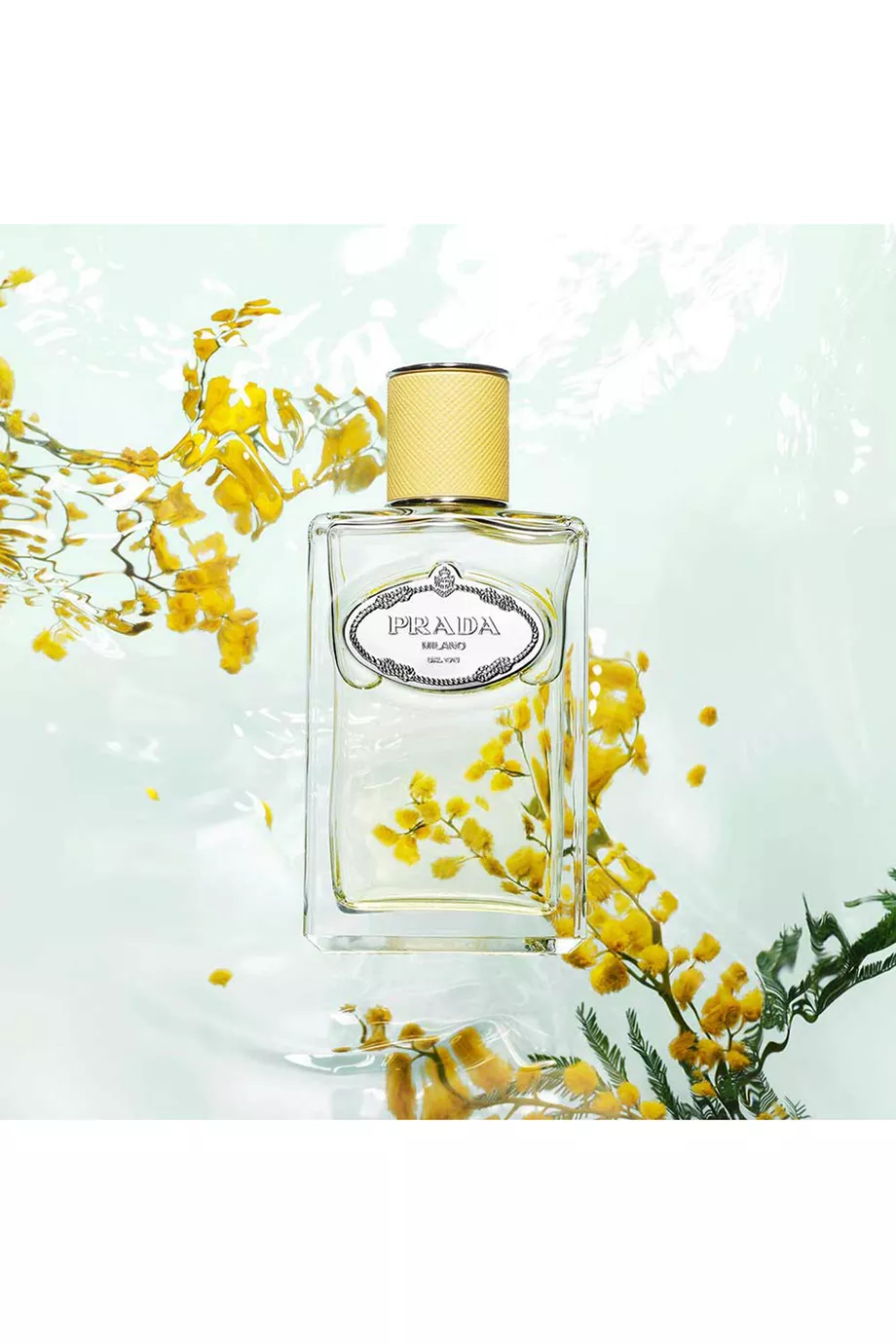 Buy Prada Beauty Colourless Les Infusions de Prada Mimosa Eau de Parfum 100ml For UNISEX Online Ounass UAE