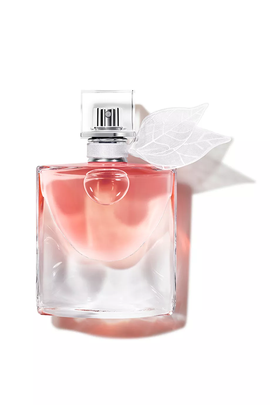 La Vie Est Belle Domaine de la Rose