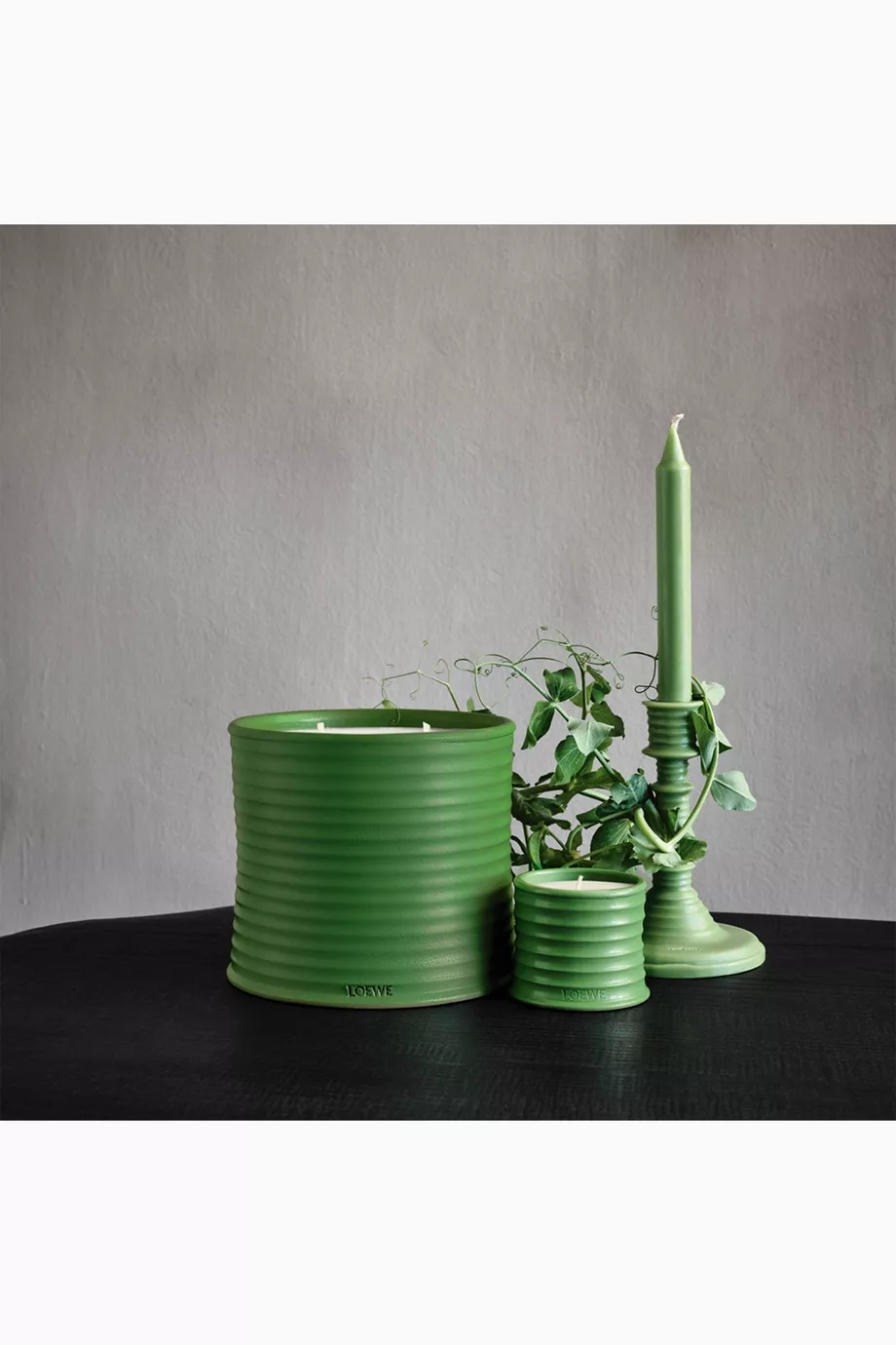 アロマグッズ LOEWE Luscious Pea Scented Candle 170g アロマグッズ LOEWE Luscious Pea Scented Candle 170g Loewe Home