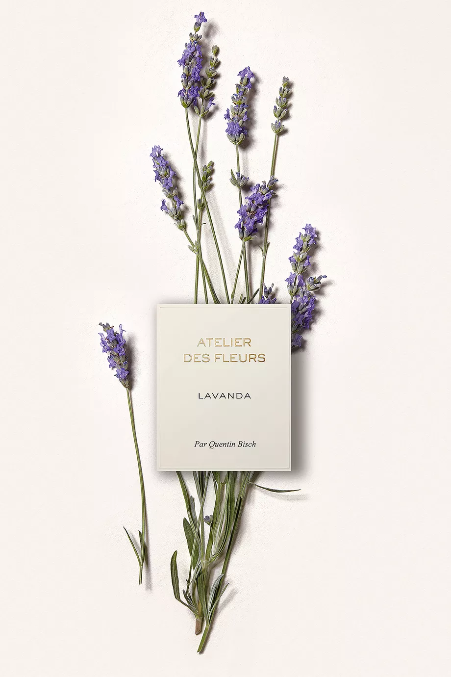 Chloé ATELIER DES FLEURS LAVANDA 香水 000800908-R554350006-1?$large$