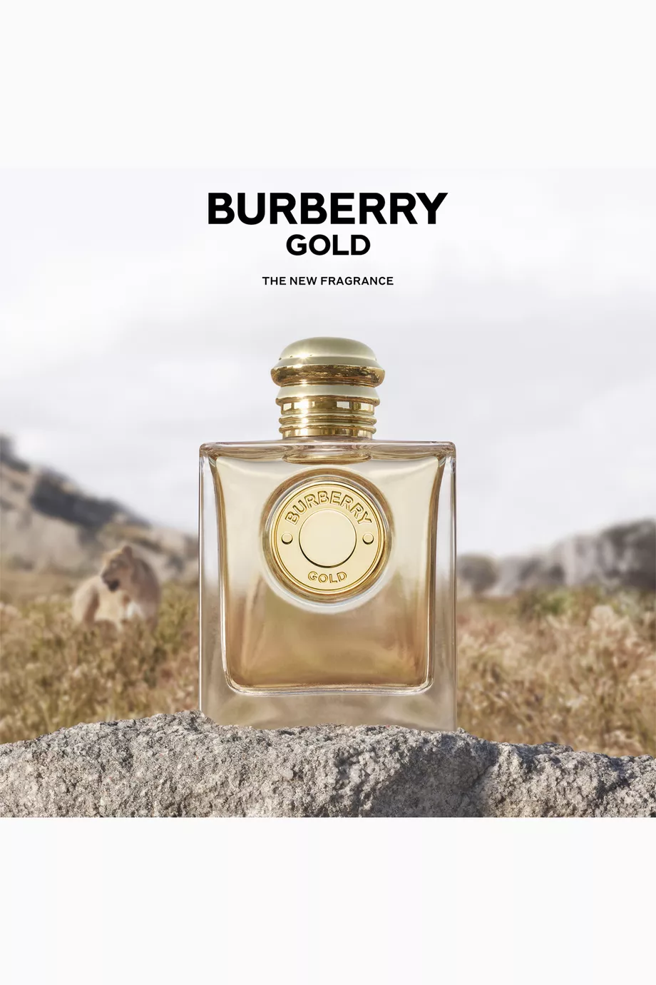 Burberry gold parfum on sale