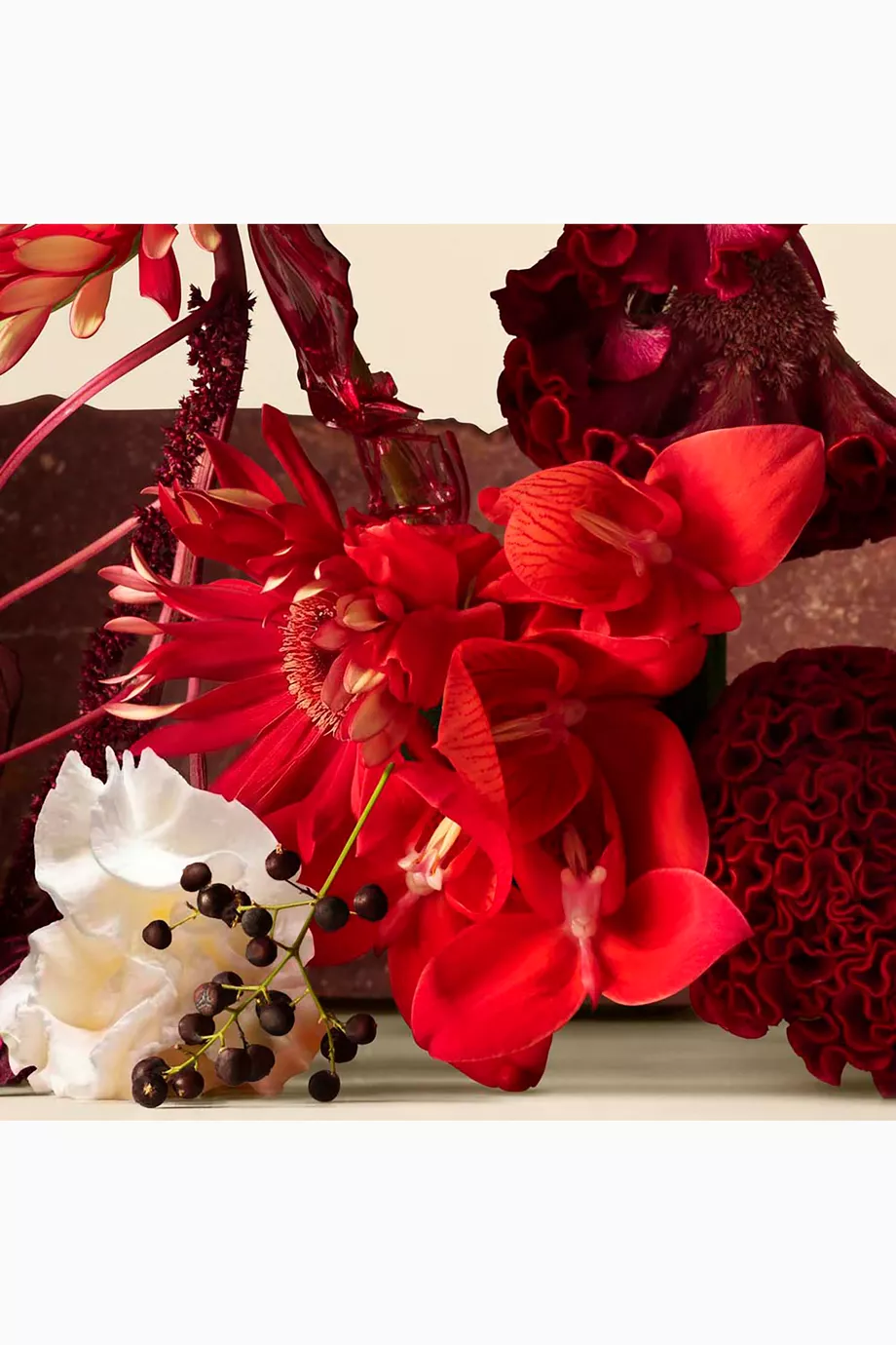 Anatomy Of Dreams Sogno In Rosso