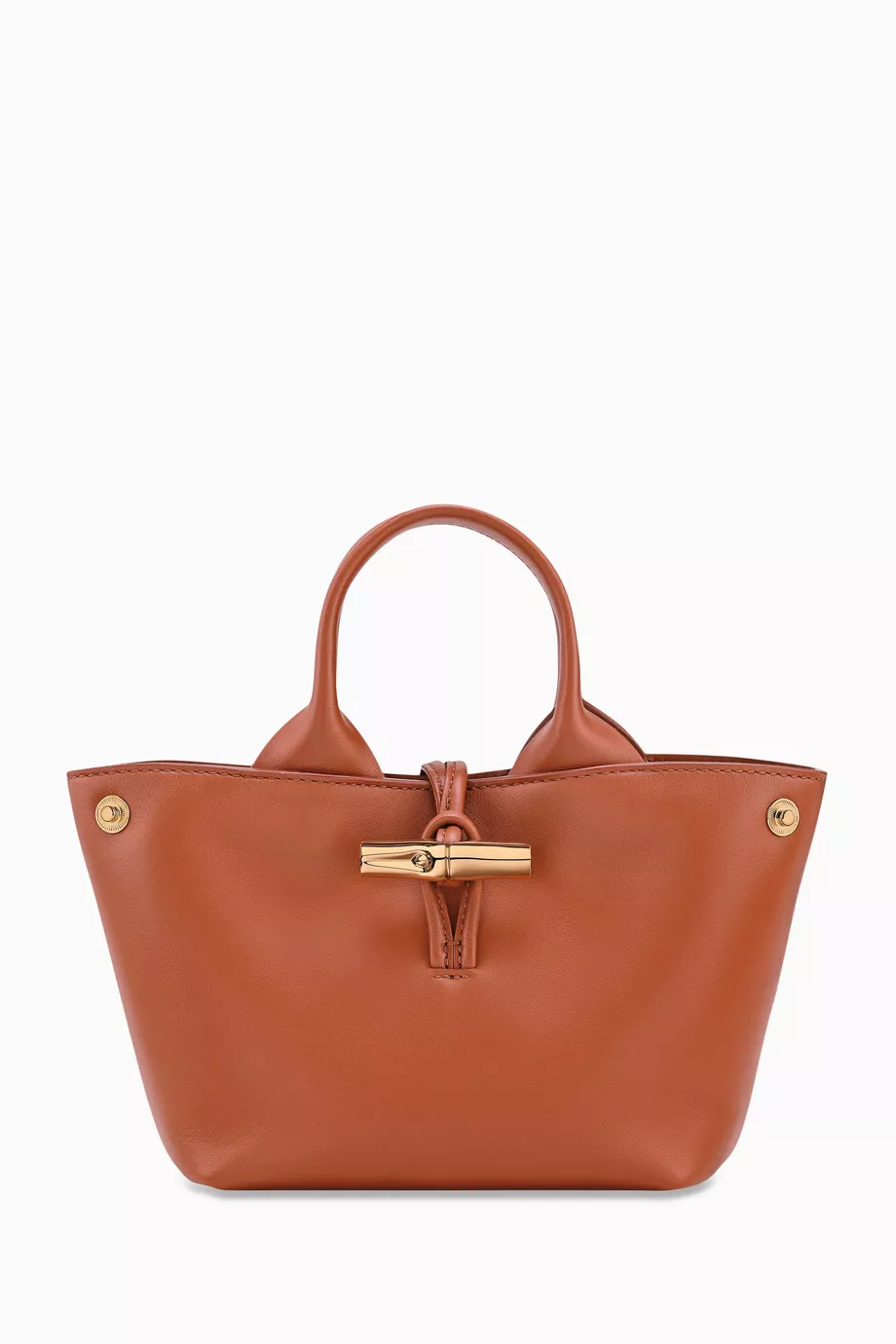 Buy Longchamp Brown XS Le Roseau Tote Bag in Calfskin
