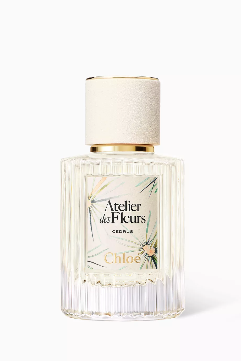 Limited Edition Atelier des Fleurs Cedrus